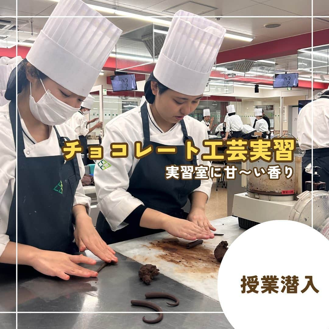 福岡キャリナリー製菓調理専門学校 のインスタグラム：「【チョコレート工芸実習🍫】  製菓実習室から、何やら甘〜い香りがしたのでつられてパティシエ2年生の授業に潜入👀✨  甘い匂いの正体は、チョコレート！！ チョコレート工芸の実習を行なっていました☺️  本校では、ケーキなどのお菓子作りだけでなく、アメ細工やチョコレート細工といった「工芸菓子」まで学ぶことができるのがポイント🔍🌟  皆さん、手を真っ茶色にしながら頑張って基本を身につけましたね☺️  #福岡キャリナリー#福岡製菓専門学校#パティシエ#パティシエの学校#パティシエになりたい#ショコラ#ショコラティエ#ショコラティエになりたい#パティシエの卵#製菓#製菓学生#製菓専門学校#製菓学生と繋がりたい #チョコレート#チョコ#チョコレート工芸#チョコレート細工#chocolate」