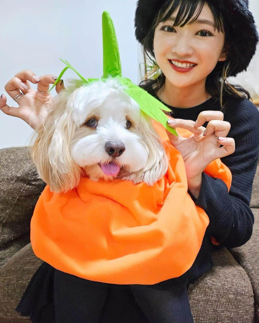 あんちゃんのインスタグラム：「カボチャあんちゃん🎃🤎  ちょっと早いけど ハッピーハロウィ〜〜ン👻！！  ってことで カボチャになってみました🤣🤣  でもこの衣装が ワンちゃん用じゃなく人間用のやつで😂  ちょっとブカブカだから あんちゃん単体での撮影は難しく…  抱っこして丸め込んで撮ってます。笑  抱っこしたままでの自撮りって なかなか難しいんだけど Galaxy Z Flip5の “手のひらシャッター”を利用すれば楽勝😎❤️  手のひらをスマホに向かってかざすだけで 自動で写真が撮れちゃうから あんちゃんを抱っこしたままでも らくらくツーショットが撮れちゃう✌️  撮ってたら楽しくなっちゃって そのまま立ち上がって 「あんカボチャ取ったどー！！！」 みたいな写真まで撮っちゃった😂  寄り写真だけじゃなく 引きの全身写真も誰かに頼まず 自分で撮れちゃうから本当便利👏✨  外のフレックスウィンドウにプレビューが映るから 構図もポーズもバッチリ決められるよ😏  あんちゃんとイチャイチャしながら 楽しく撮影できました🤭💓  他にもデビルの仮装を用意してみた😈  モフモフ天使が 悪魔の仮装をするのが どうしても見てみたくて🫣笑  （ちなみに天使の羽は過去につけたことあり👼）  きゃーっ💕 デビルあんちゃんもかわいーーっ💕 なんでも似合うーーーっ😚💕←親バカ  折りたたんで床に置くことで あんちゃん目線の撮影も 簡単にできちゃうよ👌  床に置いたGalaxy Z Flip5に あんちゃんも興味津々…🐶💭  フレックスウィンドウに映る自分を 不思議そうに見つめてました😂  デビルあんちゃんが可愛くて さっそく待ち受けにしたよ❤️  ハロウィン期間は この写真を待ち受けにして 過ごそうと思います🐶🎃  あんちゃんとのふたり撮影会 とっても楽しかったーーっ🥰❤️❤️  いつも撮る側だから 私とあんちゃんのツーショット 意外と少なくて…  Galaxy Z Flip5だと簡単に撮れるから ふたりの写真もいっぱい撮って 思い出残そうと思いますっ👩🏻🐶💓  #AD  #TeamGalaxy  #GalaxyZFlip5  #withGalaxy  #Galaxyのある生活  #JoinTheFlipSide  #キャバションあんちゃん #あんちゃん　 #キャバション」