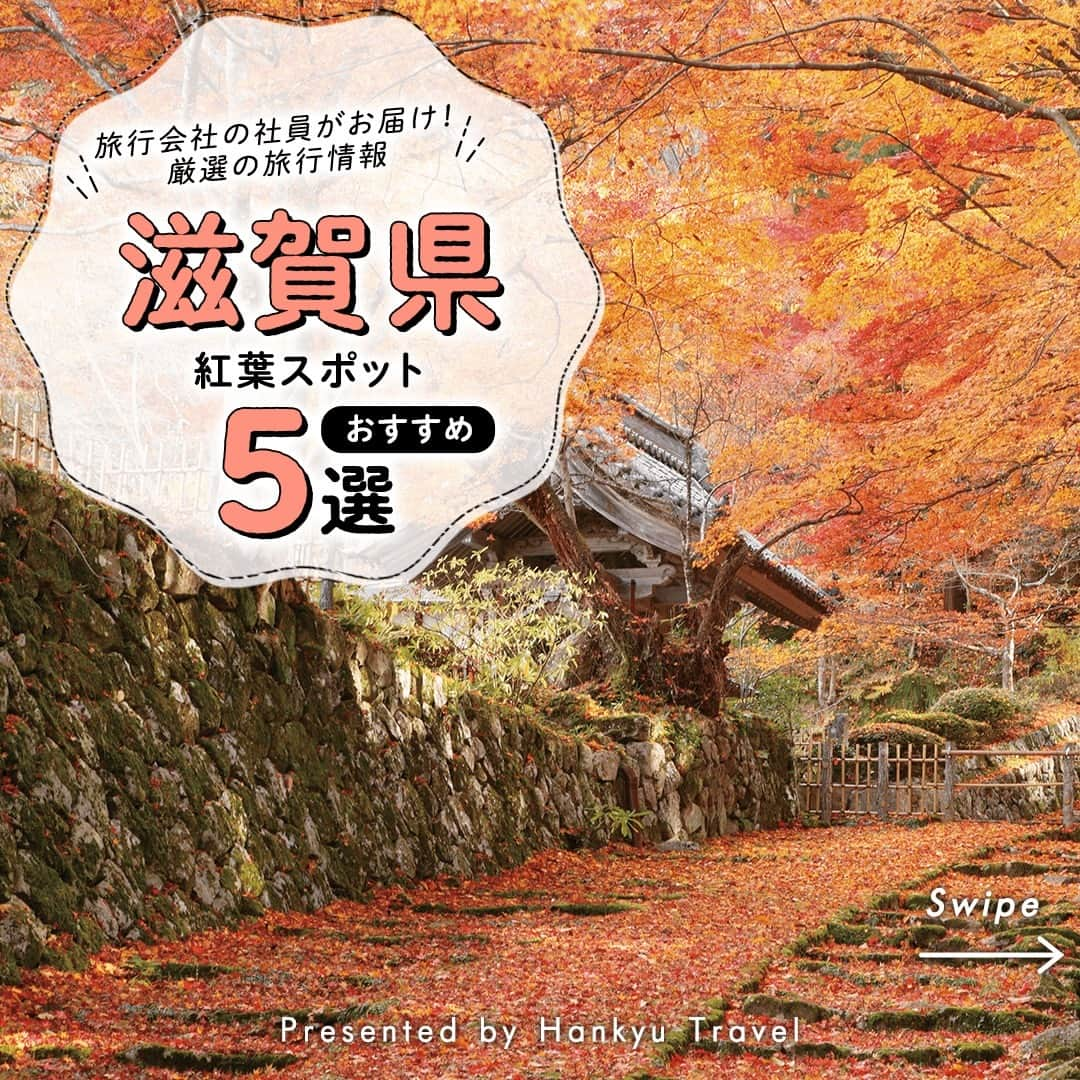 阪急交通社のインスタグラム：「【滋賀県のおすすめ紅葉スポット5選】   旅行会社社員が厳選の旅行情報をお届け！  今回は滋賀県のおすすめ紅葉スポットのご紹介です！   －－－－－－－－－－－－－－－   【メタセコイア並木】  マキノ高原へと続く街路約2.4kmに植えられた約500本のメタセコイア。どこまでもまっすぐに続く並木道は「新・日本街路樹100景」にも選ばれ、紅葉スポットとしても有名です。  📍アクセス：滋賀県高島市マキノ町蛭口～牧野  【湖東三山】  鈴鹿山脈の裾野に位置する三つの名刹、西明寺・金剛輪寺・百済寺。これらを総称して「湖東三山」と呼び、関西の紅葉三大名所ともいわれています。  ◆西明寺 優美な国宝三重塔や名勝庭園「蓬莱庭」があり、紅葉と苔に彩られた様子は必見です。米テレビ局CNNが発表した『日本の最も美しい場所31選』にも選ばれています。  📍アクセス：滋賀県犬上郡甲良町池寺26  ◆金剛輪寺 741年に聖武天皇の勅願により、行基が開山。秋には美しい紅葉が寺を彩ります。国の名勝に指定された池泉回遊式庭園も見どころの1つです。  📍アクセス：滋賀県愛知郡愛荘町松尾寺874  ◆百済寺 近江の最古級寺院。国史跡の広大な境内の紅葉と『天下遠望の名園』から眺める近江の歴史舞台の光景は見事です！  📍アクセス：滋賀県東近江市百済寺町323  【玄宮園】  近江八景を模して作庭されたと伝わる回遊式庭園。庭園内からは彦根城を望むことができ、お城と紅葉をセットで満喫できます。紅葉シーズンはライトアップも開催されるので、夜の幻想的な景色もおすすめ。 📍アクセス：滋賀県彦根市金亀町3  【永源寺】 約650年前に開山した鈴鹿山麓に佇む臨済宗永源寺派の大本山参道を彩る紅葉で名高く、見頃にはそばを流れる愛知川まで朱に染まるほど。「もみじの永源寺」とも呼ばれる紅葉の名所です。 📍アクセス：滋賀県東近江市永源寺高野町41  【八幡堀】  近江商人発祥の水の街・近江八幡。豊臣秀次が運河として利用した八幡堀は過ぎし日の面影を今に伝え、時代劇の撮影も頻繁に行われます。船に乗って八幡堀をめぐる「八幡堀めぐり」で船から紅葉を楽しむのもおすすめ！  📍アクセス： 滋賀県近江八幡市宮内町周辺  －－－－－－－－－－－－－－－   滋賀旅行の参考になりましたか？ 投稿が良いなと思ったら、いいね＆保存＆フォローをよろしくお願いします♪   ※内容は投稿日時時点の情報です。状況により変更となる可能性がございます。  ※過去に掲載した情報は、期限切れの場合がございます。  #滋賀 #滋賀県 #滋賀旅行 #滋賀観光 #滋賀県観光 #滋賀旅 #メタセコイア並木 #湖東三山 #百済寺 #金剛輪寺 #西明寺 #彦根城 #玄宮園 #ライトアップ #永源寺 #八幡堀 #紅葉 #🍁 #autumn #紅葉狩り #もみじ #秋 #japan #旅行 #ドライブ #絶景 #絶景スポット #彦根 #近江八幡 #shiga」