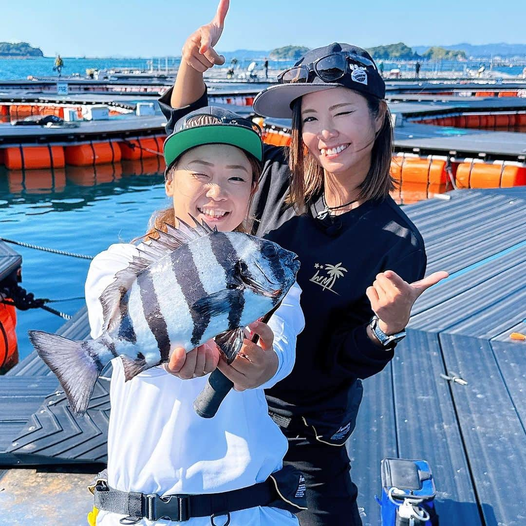 渕上万莉 さんのインスタグラム写真 - (渕上万莉 Instagram)「WESTMARINE杯　秋の陣🍁 釣りのお誘い🎣☀️  2023.11.21 和歌山県白浜町 カタタの釣り堀🎣  リニューアルしたカタタの釣り堀‼️ 凄い事になってるよ😳‼️✨ エサや仕掛けもここでほとんど揃うしトイレもめっちゃ綺麗になって最高😍❣️  今回はまた平日ですが🥹🙏🏽🍁 新設された円形筏を3基と とれとれ市場2階宴会場を予約しました✨  釣り終わったら宴会場で 豪華特製弁当🍱をご用意します🐟✨  今回も釣って食べて飲もうぜーー😆🔥☀️  ■スケジュール  ・受付 6:30 ・釣り時間　7:00〜12:00 ・懇親会&表彰式　13:00〜15:00  ■募集最大24名 1枡8名✖️3  西田、渕上は皆さんのタモ入れや初心者さんのサポートに周ります😎🫶🏾  ■料金 16000円　お弁当込み 女性、子供一律同料金。  ■レンタルタックル有り（1,550円） ■捌きサービス有り　（有料） ■放流魚 マダイ、シマアジ、カンパチ、ヒラマサ、イシダイ等  ■受付開始 明日10/21 朝10:00〜 電話受付📞にて先着。  ご予約電話：0739-43-6990（繋がらない時：090-2386-3716）  🏆WESTMARINE杯🏆 お馴染みの儀式 【要らないプレゼント🎁交換】  参加者は必ず 家にある要らない物を一つ持参してください‼️ これ、参加者の絶対条件👆🏽  それを皆んなでプレゼント交換します💁🏽‍♀️❤️  【過去のプレゼントシリーズ】 ・亀の剥製っぽいやつ🐢 ・たまごっち ・パチンコ海物語のマグカップ ・キン消し ・ミラーボール ・テレビデオ など…。  ※生物、不衛生なもの高価すぎるプレゼントは禁止です🙅‍♀️  自分は要らないものでも 人にとっては宝物になるかも😂😂⁉️  もちろん私たちも用意します💪🏽✨  そして参加者全員に WESTMARINE、FUCHIBITEより 参加賞🎁  その他景品として ・カタタの釣り堀 ・WESTMARINE ・FUCHIBITE から豪華アイテムをご用意🏆  他釣り堀のことでわからないことがあったらカタタさんにお電話で聞いてみてね📱✨  #カタタの釣り堀 #南紀白浜 #海上釣り堀 #釣り堀 #とれとれ市場 #釣りイベント #釣り好きな人と繋がりたい  #westmarine  #fuchibite  #にっしゃん #フッチー」10月20日 18時10分 - mari_fuchigami