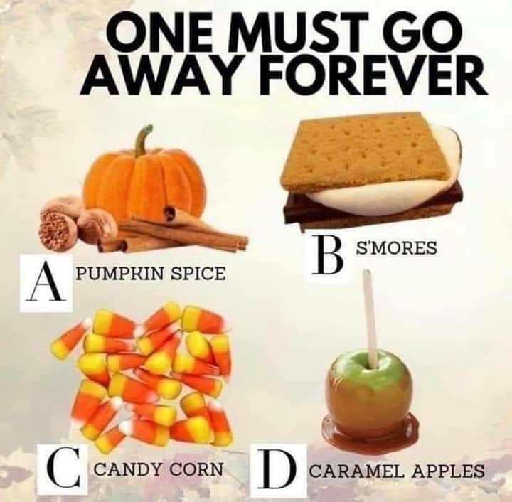 Flavorgod Seasoningsさんのインスタグラム写真 - (Flavorgod SeasoningsInstagram)「A,B,C or D? 🎃 Pumpkin Pie Topper - Back in Stock Again!! - Sold Out in 60 Minutes - Last Chance to Buy 🚨⁠ -⁠ Shop Now!🎃⁠ Click link in the bio -> @flavorgod | www.flavorgod.com⁠ -⁠ Flavor God Seasonings are:⁠ 🎃ZERO CALORIES PER SERVING⁠ 👻MADE FRESH⁠ 🎃MADE LOCALLY IN US⁠ 👻FREE GIFTS AT CHECKOUT⁠ 🎃GLUTEN FREE⁠ 👻#PALEO & #KETO FRIENDLY⁠ -⁠ #halloween #sale #food #foodie #flavorgod #seasonings #glutenfree #mealprep #seasonings #breakfast #lunch #dinner #yummy #delicious #foodporn」10月21日 0時01分 - flavorgod