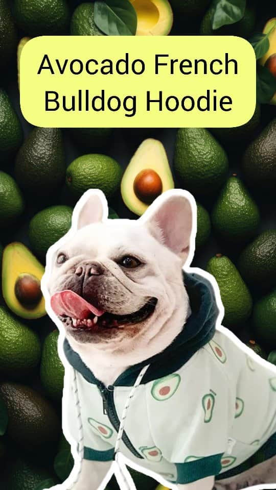 French Bulldogのインスタグラム：「The Avocado French Bulldog Zip-Up Hoodie: A Canine Couture 🥑  🥑 Let's get this straight! Your furry friend deserves to be the center of attention, so just deck them out in the latest fashion trend.  🥑 Enter the Avocado hoodie for French bulldog. It’s chic, it’s hip, and yes, it screams, “I’m a cool pup!”  . . . . .  #frenchbulldog #dog #frenchbulldogpuppy #frenchie #frenchiesofinstagram #bulldog #frenchiepuppy #frenchiesocity #bulldoglove #frenchbully #frenchie #frenchbulldoglove #puppy #ilovemyfrenchie #frenchielove #frenchies #franskbulldog #französischebulldogge #bulldogfrances #frenchbulldogs #puppysofinstagram」