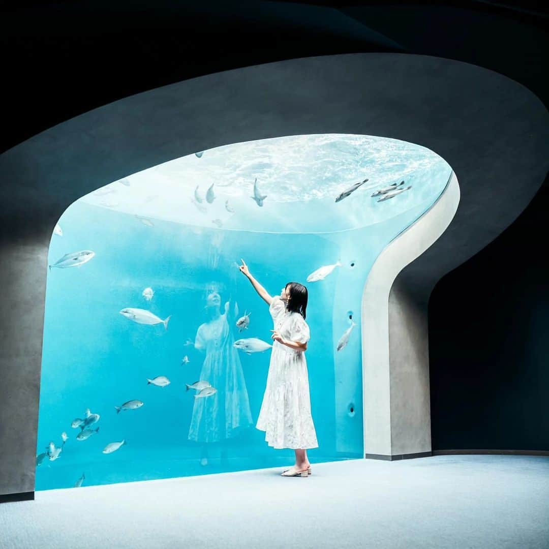 4meee!さんのインスタグラム写真 - (4meee!Instagram)「【旅する目的に、幻想的な水族館にいくのはどう？】  全国に増えている幻想的な水族館🎣✨ どこに行きたい？  📍香川県 #四国水族館 📍山形県 #鶴岡市立加茂水族館 📍石川県 #のとじま水族館 📍大阪府 #ニフレル 📍沖縄県 #DMMかりゆし水族館 📍福島県 #アクアマリンふくしま  -----photoby💌----- @hibi_turnalia @is_sa7550 @kuunyaaan @___yu.144 @momoka__0310 @shout_yy @la_pleine_lune_5123  #水族館 #水族館コーデ #旅行 #観光 #グルメ#山形旅行 #山形観光 #山形グルメ #鶴岡グルメ#水族館 #鶴岡市立加茂水族館 #加茂水族館」10月20日 18時43分 - 4meee_com