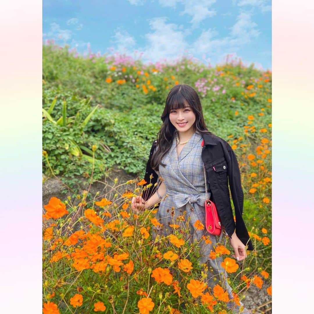 のインスタグラム：「#cosmos 🧡  オレンジのコスモスを見つけたよー🤗🌸🧡  風が強くてめちゃくちゃ揺れてる😂💐  オレンジといえば、今年はまだ金木犀見てないかも🤔 時期的にもう咲いてるよね🌼？？  今週末は気温がぐっと下がって、北海道では雪が降る所もあるとか😳‼️☃️ 風邪を引かないように温かくして気をつけましょー😌✨  ｡・ﾟ・。❀｡・ﾟ・。❀｡・ﾟ・。❀｡・ﾟ・｡❀。・ﾟ・。  #秋桜」
