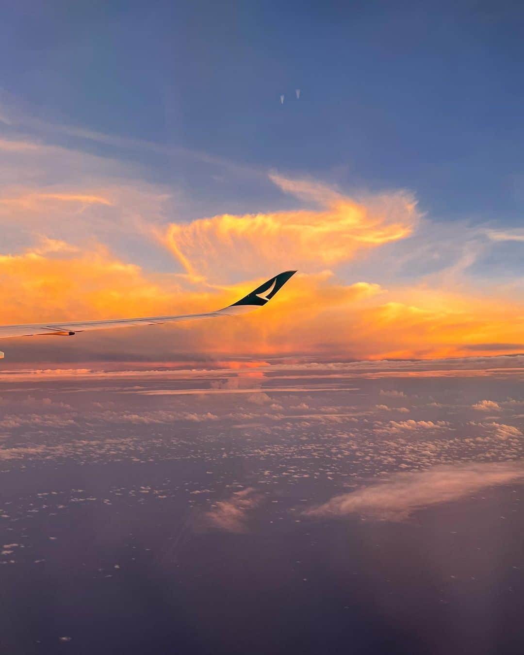 キャセイパシフィック航空のインスタグラム：「Wings under the sky and over all possibilities ✈️. Are you ready to see what’s over the horizon 🌏?  #cathaypacific #MoveBeyond  翱翔天際，一切可能即將實現眼前 ✈️。你準備好迎接地平線外的風光嗎 🌏？  #國泰航空 #志在飛躍  📸 @tiff______a.n.y.c」