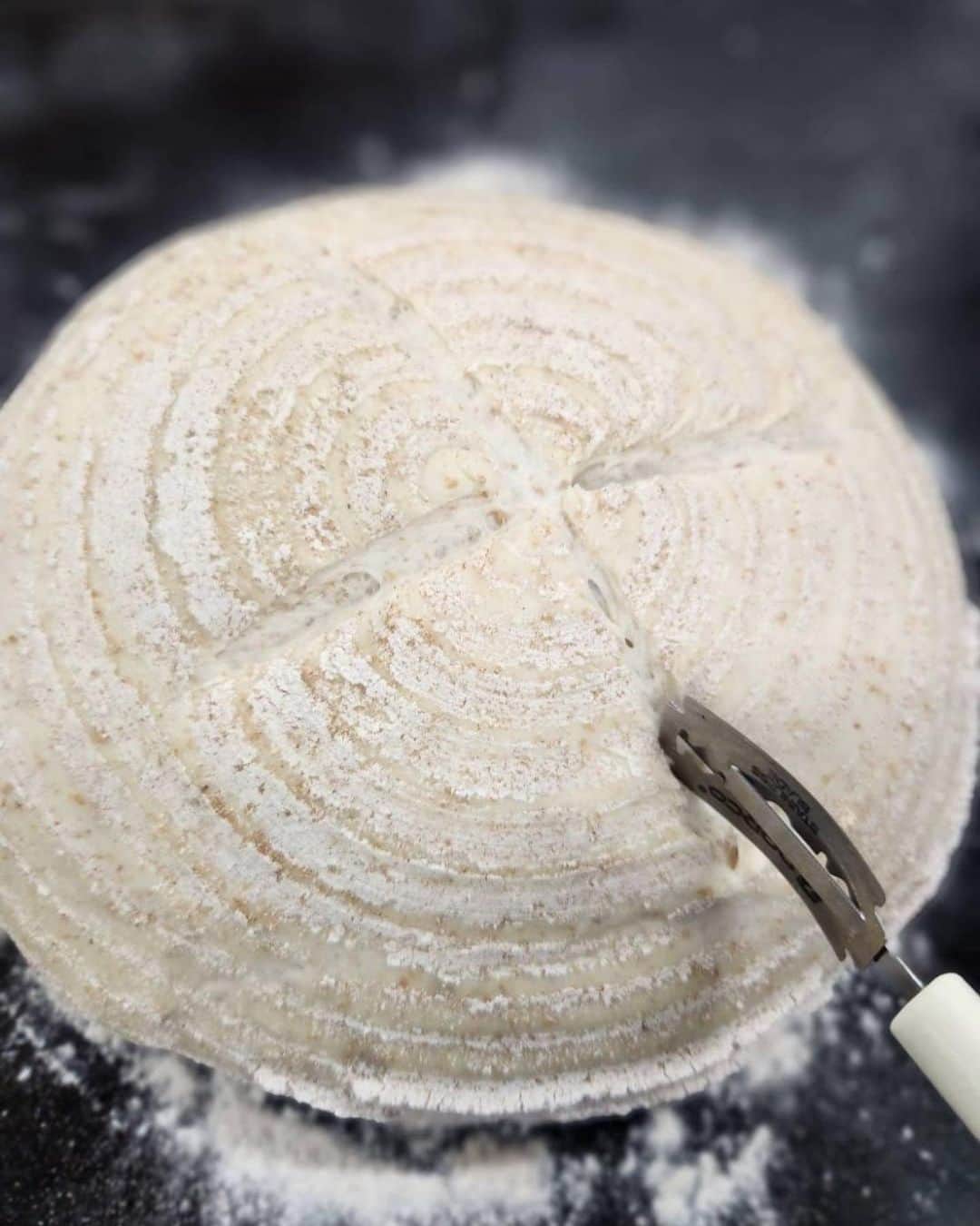 札幌ベルエポック製菓調理専門学校【公式】さんのインスタグラム写真 - (札幌ベルエポック製菓調理専門学校【公式】Instagram)「パティシエ科1年生の製パン実習🍞  カンパーニュというフランスパンの一種です。  今回は、国産小麦粉と外国産小麦粉の2種類を 作って味の違いを確かめました✨  #ベルエポック　#パティシエ　#カフェ札幌ベルエポック製菓調理専門学校 #製菓 #製菓実習 #ブーランジェ #料理作り記録 #実習 #パン好きなひと繋がりたい #専門学校 #専門学生 #製菓専門学校 #パンづくり」10月20日 19時05分 - belle_foods
