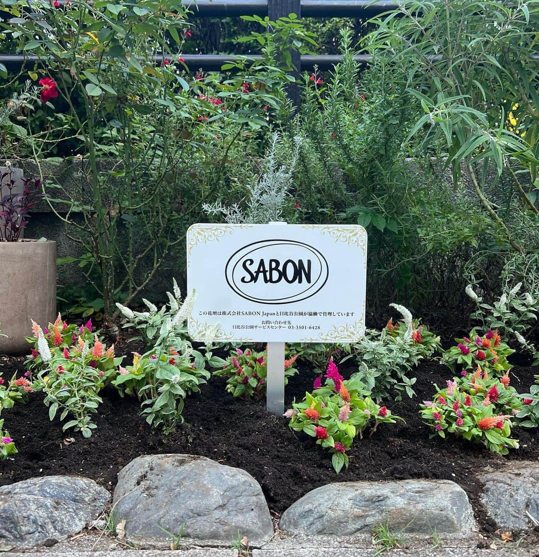 SABON Japanさんのインスタグラム写真 - (SABON JapanInstagram)「【いよいよ明日からスタート💐日比谷公園ガーデニングショー✨】  「さまざまな環境や社会が変化するなか、 さらに広く市民・企業・団体等の参加を得て、 これからの持続可能で平和な社会を目指し、 『花とみどりの力』がもつ可能性を 日比谷から世界に発信する」という趣旨に賛同し、 「第21回日比谷公園ガーデニングショー2023」に協賛し、SABONブースを出展いたします。  花々で彩られたブースにはボディケア製品のお試しや SABONが取り組むサスティナブルな活動の紹介や、 様々な手法でアップサイクルした『RELOVE FLOWER』を 使用したブーケやボックスギフトを数量限定で販売🎁  2022年10月には、 東京都日比谷公園内にSABONが手掛ける花壇、 Seeds of Joy ”Gardens of Wanders” が誕生しました🌹  SABONでは店舗を彩る花々にも、 本来廃棄されるはずだった花を様々な手法でアップサイクルした『RELOVE FLOWER』やドライフラワーを使用し、 “花の命をできるだけ長く楽しむ”という提案を行っています。  日常に華やかな彩りを添え、心を豊かに潤す花々や、 自然を守り育てることもSABONのミッションだと考え これからも様々な活動をしていきます。  第21回日比谷公園ガーデニングショー2023  日程：2023年10月21日（土）～10月29日（日）10:00～16:30（最終日は16:00） 入場料：無料 会場：都立日比谷公園  #sabon#サボン#日比谷公園ガーデニングショー#日比谷公園ガーデニングショー2023#アースデイ#サスティナ#サスティナブル#リサイクル#リユース#ガラス容器#ナチュラルな暮らし#エコ活動#ギフト#ブーケ#花束#ガーデニング#ガーデニングショー#フラワーショップ」10月20日 19時28分 - sabon_japan