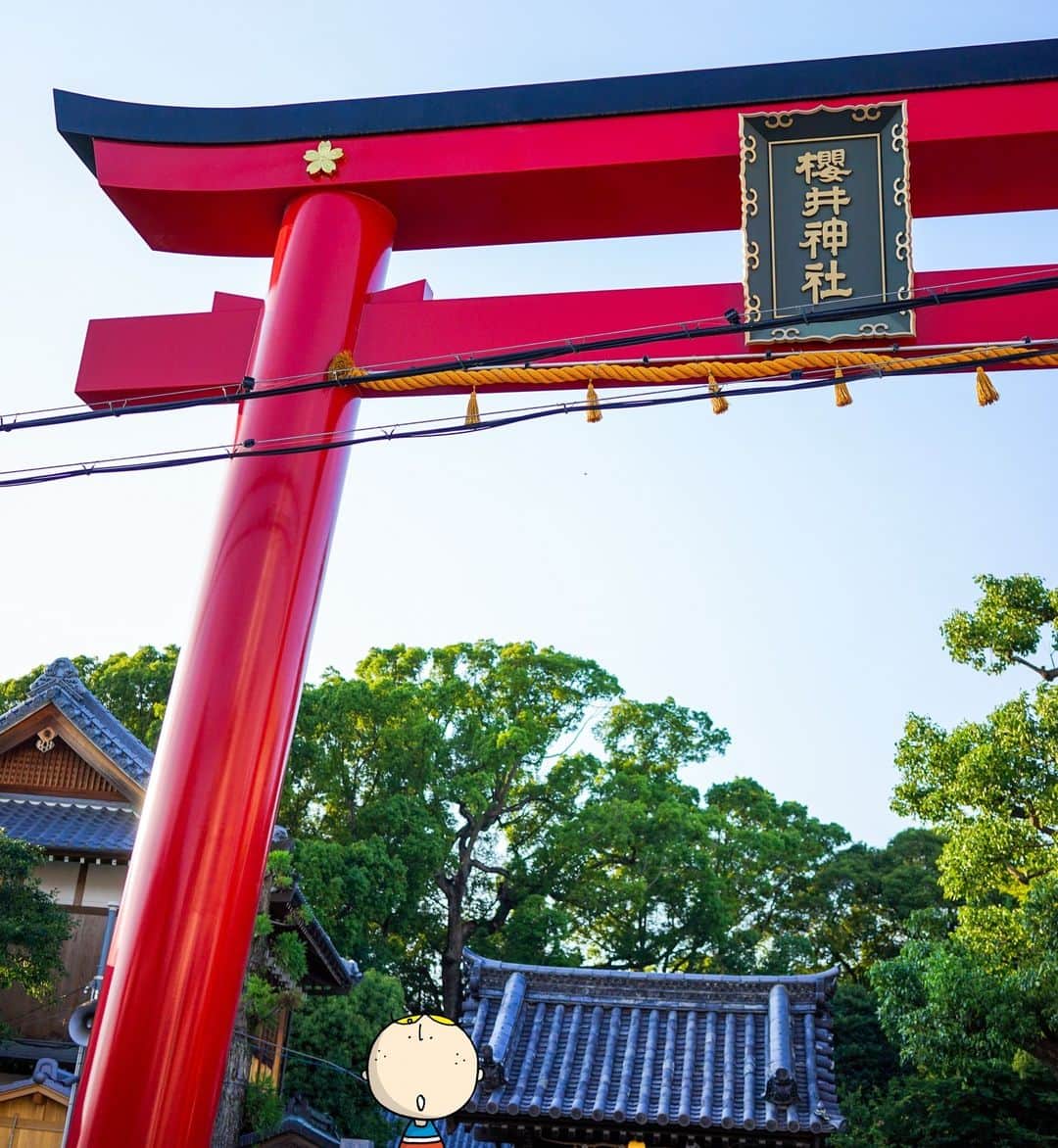 Osaka Bob（大阪観光局公式キャラクター）のインスタグラム：「Sakurai Jinja Shrine ⛩️ boasts a vivid contrast between its white-walled exterior and red wooden accents, evoking a simple yet elegant traditional architectural style👍   櫻井神社⛩️は外壁の白壁と朱色の木部との鮮やかなコントラストが美しく、シンプルですが、明快な木組みに時代を感じることができるで👍  —————————————————————  #maido #withOsakaBob #OSAKA #osakatrip #japan #nihon #OsakaJapan #大坂 #오사카 #大阪 #Оsака #Осака #โอซาก้า #大阪観光 #sightseeing #Osakatravel #Osakajepang #traveljepang #osakatravel #osakatrip#櫻井神社」