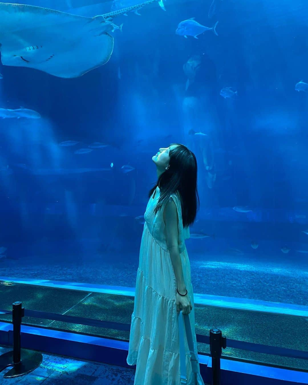 川原美咲のインスタグラム：「🪼🐬🐋 📍#美ら海水族館  ・ ・ ・ ちょっと海洋恐怖症だけど 水が好きなので水族館は大好きです笑笑 （サメコーナーはちょっとビビるけど､見ちゃう）🦈 ・ ・ ・ ・ ・ いつメンと沖縄へ行ってまいりました。 空気悪くなったりも一切せずに､3日間ずっとはしゃいで､たくさん写真撮ってふざけて､食べて！ 楽しかった〜✨🪼 ありがとう🤍 ・ ・ ・ ・ ・#沖縄 #沖縄旅行 #沖縄旅行計画 #沖縄観光 #みゅらうみサイダー #美ら海 #ちゅらうみ水族館 #沖縄水族館 #沖縄映えスポット#沖縄 #沖縄旅行 #沖縄観光 #ちゅらうみ水族館 #ちゅらうみサイダー #美ら海水族館 #美ら海水族館お土産 #美ら海水族館🐠  #沖縄ランチ #骨格ナチュラル #骨格ナチュラルタイプ #骨格ナチュラルさん向きコーデ #flower #okinawa #okinawajapan #okinawatrip #okinawa🌺」