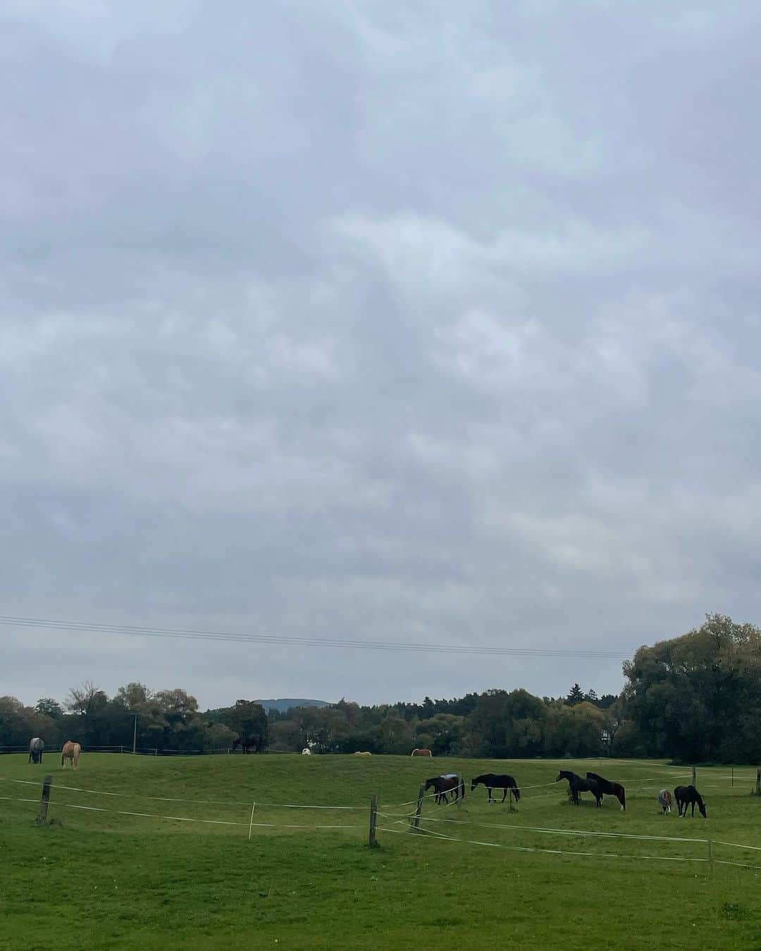 安藤ニコさんのインスタグラム写真 - (安藤ニコInstagram)「Horsing around with the girlies 🐎 or girling with the horsies? 彡^･∋♡」10月20日 19時43分 - nico.ando.official