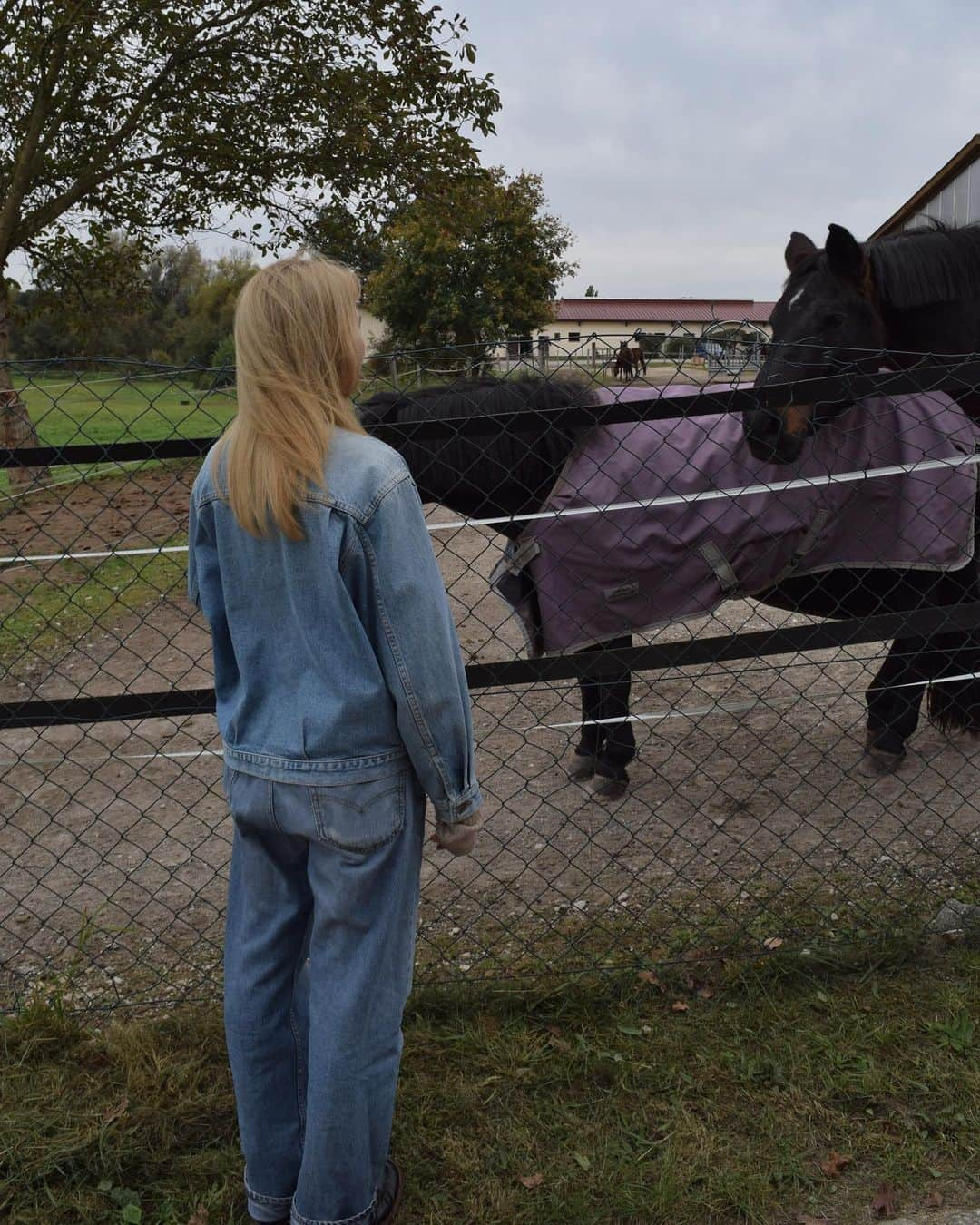 安藤ニコのインスタグラム：「Horsing around with the girlies 🐎 or girling with the horsies? 彡^･∋♡」