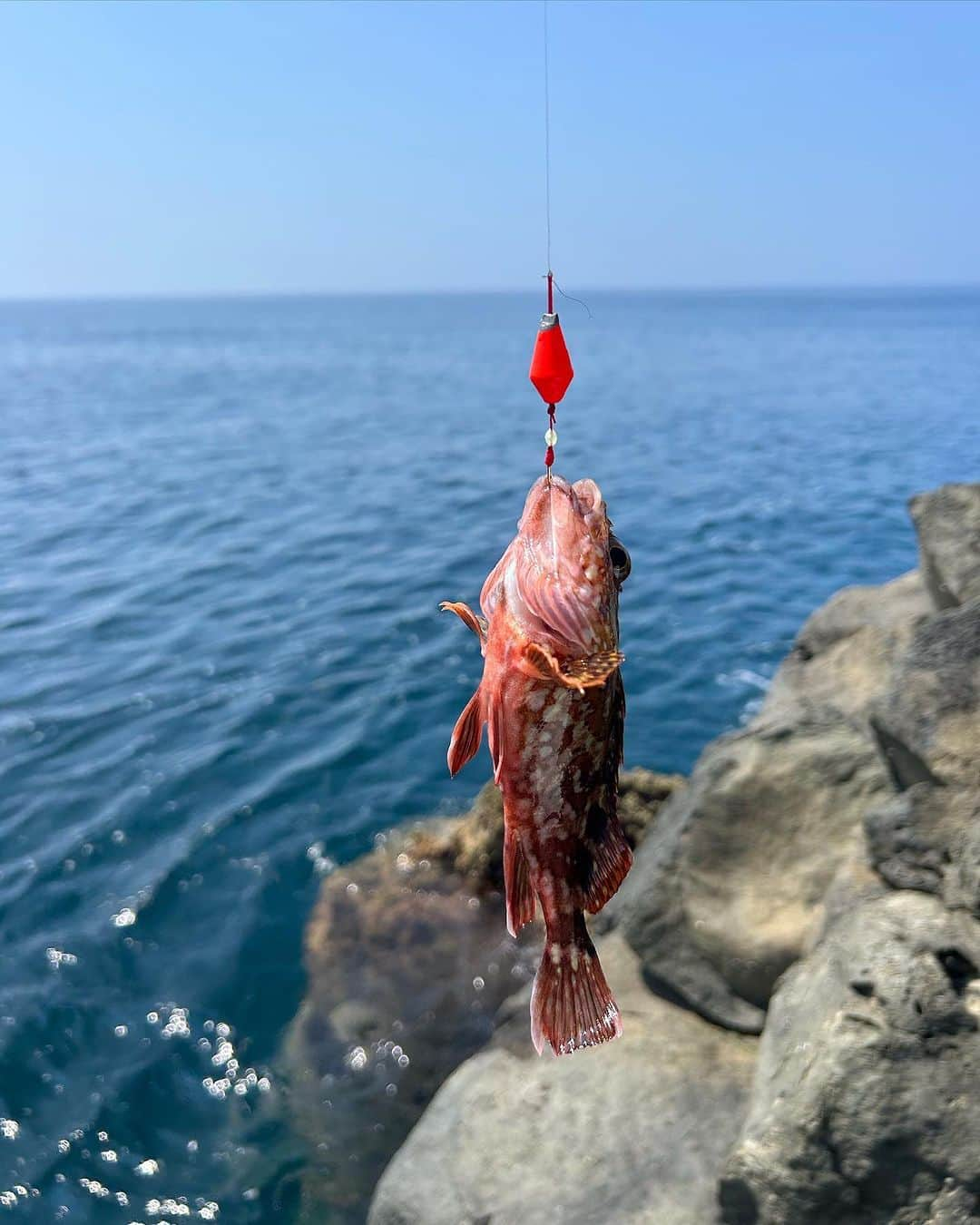 太田唯さんのインスタグラム写真 - (太田唯Instagram)「あげ忘れてた夏の思い出 🏝️ 人生2度目の無人島に滞在したときの。  今回は３泊4日、テント泊で乗り切りました〜 これからは特技に"自給自足" と書くことにします！！！  . #無人島 #無人島キャンプ #釣り #釣りガール #カサゴ大漁 #朝焼け #サバイバル #fishing」10月20日 19時44分 - yuiohta.official