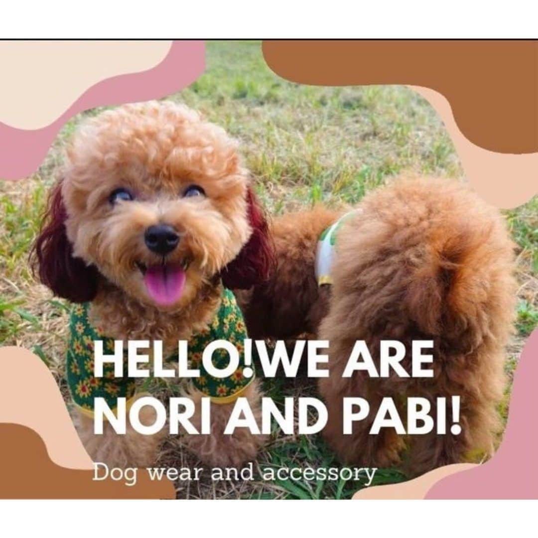 甲斐麻美さんのインスタグラム写真 - (甲斐麻美Instagram)「・ 10/22(日) いぬのおまつり@sosopark  ■出店者紹介  【 かわいい犬服 】  \\ Nori and Pabi // （@noriandpabi ） ----------  私たちNori and Pabi(ノリアンドパビ)は低価格でカワイイをお届けしたいという想いと海外からセレクトしたお洋服になります。またうちでは女の子男の子問わず着て頂けるお洋服を備えております。 ----------  ※事前予約等は各出店者さんのDMへ 直接お問い合わせください。  ========== ◆出店リスト  Sutera1215 @juju20180418 ・手作りごはんとおやつ Popu’s Natural Dog Cafe @popus0624  ・ハンドメイド犬服 Nori and Pabi @noriandpabi ・可愛い犬服 カイアオパラコード @kaiao__paracord__  ・お魚のジャーキー いぬのおやつISHIDASHOTEN @inuno.oyatsu  ・わんちゃんの記念撮影 くるみんphoto @kurumin_photo  ・犬の洋服屋さん D3 daifuku dog design @siro_daifuku  ・ペットヒーリング わんわん先生のペットヒーリング @kisozima ・譲渡会＆チャリティ物販 保護カフェPETS @hogocafe.pets  ・ワンコのおやつ＆ごはん＆グッズ いぬとわたしteam @inuto_watashi  ①KAMIKAMI DAUCHO @kamikamidaucho ②六分儀 @dogquiche_sweets_rokubungi ③chicori @chicori_dogs ④coco crochet @coco_.crochet ⑤Hug moku @hug_moku  ≪常設店舗≫ ・うどんスタンド ユルリ @yururi_reiko  ≪キッチンカー≫ ・クレープ/ 魔法堂 @mahoudou2018   ======== いぬのおまつり ========= 日時：10月22日(日)10:00～15:00 ※雨天中止 場所：sosopark @sosopark.jp 草加駅東口から徒歩3分 埼玉りそな銀行草加支店向かい  #いぬのおまつり #いぬとわたし #sosopark #犬イベント #いぬのいる暮らし #犬好きさんと繋がりたい #犬服 #ワンコの服」10月20日 20時00分 - inuto_watashi