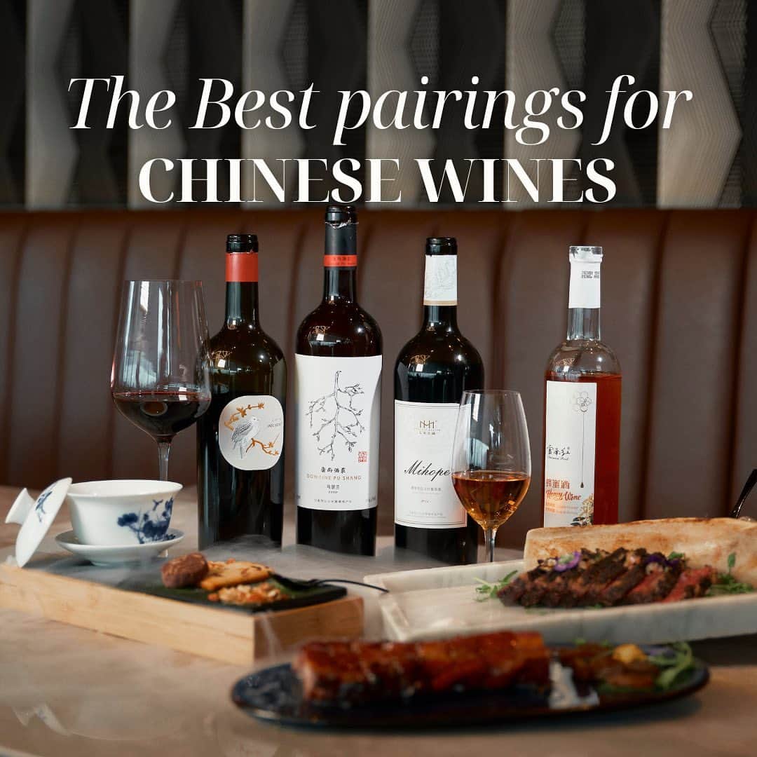 Discover Hong Kongさんのインスタグラム写真 - (Discover Hong KongInstagram)「[Red Wine Masterclass | The Right Way to Enjoy Chinese Wine🍷🥘😋]  The Hong Kong Wine & Dine Festival is happening next week, have you secured your tickets and downloaded our new mobile app yet? Let's begin your taste journey with Ronny Lau, Chairman of the Hong Kong Wine & Spirits Writers Association. He'll guide you through the highlight of this year’s event: Chinese wines and share some great pairings of red wines and delectable Chinese dishes.   1️⃣: 🍷🐮Jade Dove Single Vineyard Cabernet Gernischt  Best paired with 48 Hours Slow-Cooked Beef Ribs 😋The wines’ fruity and herbal notes enhance the taste of beef.   2️⃣: 🍷🐷Domaine Pu Shang Marselan  Best paired with Roasted Ibercio Pork with Honey Sauce  😋The red wine is reminiscent of dark chocolate and coffee, making it a perfect match for slightly sweet dishes like honey-roasted pork.  3️⃣: 🥂🍯Honey Wine  Best paired with Jasmine Tea Flavoured Panna Cotta 😋With honey as its primary ingredient, it is easy to drink and has a moderate level of sweetness. It pairs perfectly with tea-flavoured desserts!  Can’t wait to sample these exquisite red wines? Download the “Wine & Dine Tasting Pass” mobile app now for seamless ticket purchases and top-ups. Or visit our website to secure your tickets. On the event day, simply present the e-ticket QR code at the Redemption Counter.🍷🎉 Check out for more details: https://bit.ly/46pU74S  【紅酒學堂 | 識飲一定係咁飲！🍷🥘😋】 下星期就「香港美酒佳餚巡禮」喇，想玩得更盡興，飲盡全場，當然要做定功課！我哋邀請香港酒評人協會主席Ronny教大家品嘗美酒，即睇各款紅酒點樣配搭唔同中菜啦😋🥢  1️⃣:🍷🐮玉鴿單一園蛇龍珠干紅酒配岩鹽48小時慢煮牛肋骨 😋西鴿蛇龍珠帶有水果同草本味道，而美賀酒莊尊享西拉幹紅酒酒體圓潤，有黑莓、甘草同黑胡椒嘅氣味，可令牛肉味道更有層次。  2️⃣: 🍷🐷蒲尚酒莊馬瑟蘭紅酒配龍眼蜜燒西班牙黑豚叉燒 😋蒲尚馬瑟蘭紅酒帶有黑朱古力同咖啡嘅味道，配偏甜嘅菜式，好似蜜燒叉燒咁就最適合！  3️⃣: 🥂🍯雲南紅蜂蜜酒配茉莉花茶味意式奶凍 😋以蜂蜜為原材料釀製而成，容易入口，甜度唔高，配以茶味嘅甜品就最適合啦！  想試試呢幾款紅酒，就要立即下載「香港美酒佳餚巡禮—品味逍行證」手機應用程式，買飛同top up就更方便啦；大家亦可於我哋嘅網站買飛，當日於場地兌換處出示電子門券的二維碼，詳細資訊睇呢度：https://bit.ly/46pU74S  #WineAndDine2023 #HelloHongKong #DiscoverHongKong」10月20日 20時01分 - discoverhongkong