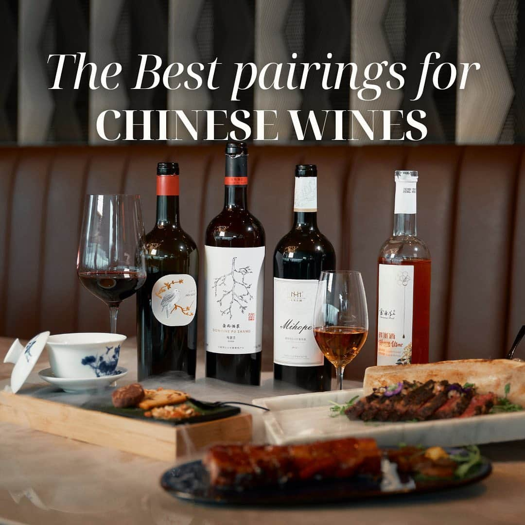 Discover Hong Kongのインスタグラム：「[Red Wine Masterclass | The Right Way to Enjoy Chinese Wine🍷🥘😋]  The Hong Kong Wine & Dine Festival is happening next week, have you secured your tickets and downloaded our new mobile app yet? Let's begin your taste journey with Ronny Lau, Chairman of the Hong Kong Wine & Spirits Writers Association. He'll guide you through the highlight of this year’s event: Chinese wines and share some great pairings of red wines and delectable Chinese dishes.   1️⃣: 🍷🐮Jade Dove Single Vineyard Cabernet Gernischt  Best paired with 48 Hours Slow-Cooked Beef Ribs 😋The wines’ fruity and herbal notes enhance the taste of beef.   2️⃣: 🍷🐷Domaine Pu Shang Marselan  Best paired with Roasted Ibercio Pork with Honey Sauce  😋The red wine is reminiscent of dark chocolate and coffee, making it a perfect match for slightly sweet dishes like honey-roasted pork.  3️⃣: 🥂🍯Honey Wine  Best paired with Jasmine Tea Flavoured Panna Cotta 😋With honey as its primary ingredient, it is easy to drink and has a moderate level of sweetness. It pairs perfectly with tea-flavoured desserts!  Can’t wait to sample these exquisite red wines? Download the “Wine & Dine Tasting Pass” mobile app now for seamless ticket purchases and top-ups. Or visit our website to secure your tickets. On the event day, simply present the e-ticket QR code at the Redemption Counter.🍷🎉 Check out for more details: https://bit.ly/46pU74S  【紅酒學堂 | 識飲一定係咁飲！🍷🥘😋】 下星期就「香港美酒佳餚巡禮」喇，想玩得更盡興，飲盡全場，當然要做定功課！我哋邀請香港酒評人協會主席Ronny教大家品嘗美酒，即睇各款紅酒點樣配搭唔同中菜啦😋🥢  1️⃣:🍷🐮玉鴿單一園蛇龍珠干紅酒配岩鹽48小時慢煮牛肋骨 😋西鴿蛇龍珠帶有水果同草本味道，而美賀酒莊尊享西拉幹紅酒酒體圓潤，有黑莓、甘草同黑胡椒嘅氣味，可令牛肉味道更有層次。  2️⃣: 🍷🐷蒲尚酒莊馬瑟蘭紅酒配龍眼蜜燒西班牙黑豚叉燒 😋蒲尚馬瑟蘭紅酒帶有黑朱古力同咖啡嘅味道，配偏甜嘅菜式，好似蜜燒叉燒咁就最適合！  3️⃣: 🥂🍯雲南紅蜂蜜酒配茉莉花茶味意式奶凍 😋以蜂蜜為原材料釀製而成，容易入口，甜度唔高，配以茶味嘅甜品就最適合啦！  想試試呢幾款紅酒，就要立即下載「香港美酒佳餚巡禮—品味逍行證」手機應用程式，買飛同top up就更方便啦；大家亦可於我哋嘅網站買飛，當日於場地兌換處出示電子門券的二維碼，詳細資訊睇呢度：https://bit.ly/46pU74S  #WineAndDine2023 #HelloHongKong #DiscoverHongKong」