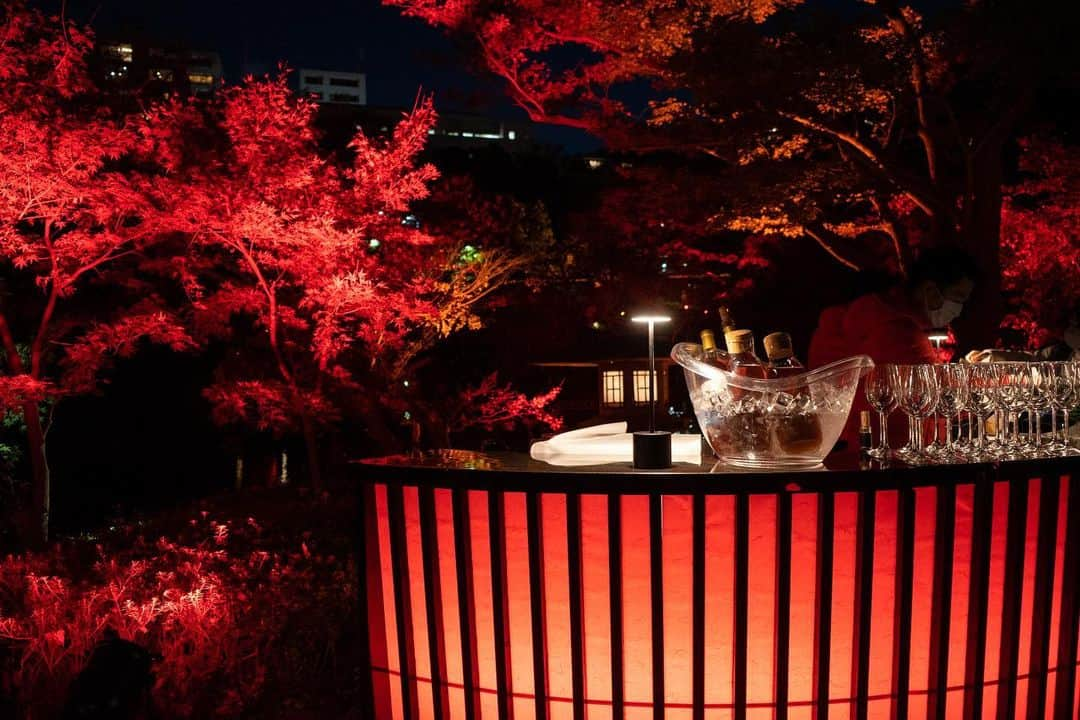 八芳園さんのインスタグラム写真 - (八芳園Instagram)「『TOKYO RED GARDEN AUTUMN FESTIVAL 2023』🍁2023.11.10 fri – 12.10 sun  秋のライトアップイベント『TOKYO RED GARDEN AUTUMN FESTIVAL 2023』を開催いたします🍁  江戸時代から続く八芳園の歴史ある日本庭園が赤一色にライトアップされ、秋の訪れを告げる真っ赤な世界が咲き誇る特別な夜。  八芳園内レストランで味わうイベント限定メニューや、庭園でカクテルを提供する期間限定の「GARDEN BAR」も登場します🥂🌃  幻想的に演出された約400年の歴史を紡いできた八芳園の庭園内にて、まるで自然の美と調和するアートを愉しむような日本の秋をお過ごしください。  【Garden Light Up】 ・開催期間：2023年11月10⽇(⾦)〜12月10⽇(⽇) ・開催時間：⽇没〜21時まで ・入場無料  ▼「TOKYO RED GARDEN AUTUMN FESTIVAL 2023」 https://happo-en.com/event/autumn_festival2023/  🍁🍁🍁  #tokyoredgarden2023  🍁🍁🍁  #八芳園 #happoen #日本庭園 #Japanesegarden #紅葉 #紅葉スポット #🍁 #紅葉狩り #紅葉ライトアップ」10月20日 20時22分 - happoen