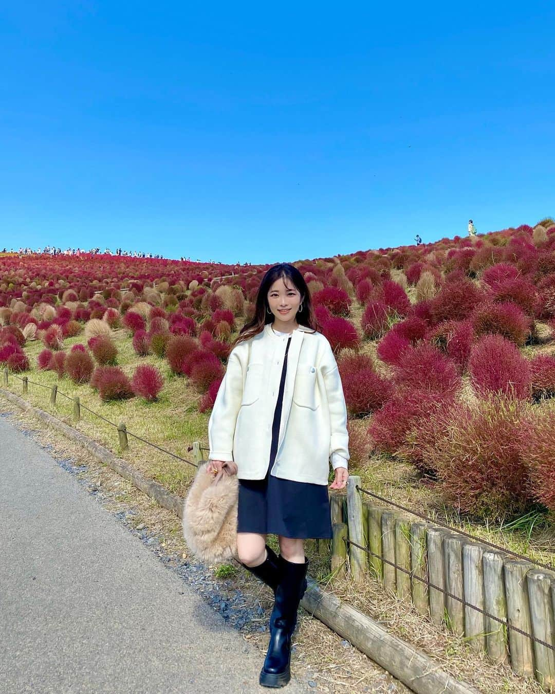 マナさんのインスタグラム写真 - (マナInstagram)「. 先日の夫婦デートのコーデ♡  #ootd  outer ＆blouse @o0u_official  one-piece @st.rooney  boots @grl_official 昨日の投稿のブーツ bag @novelmee_official 去年  なんだか、良さそうなスポットを見つけると 👨🏻「ここいいじゃん、そこに立って」と 写真沢山撮ってくれて… どんな心境の変化か、彼のブームなのか不明ですが とにかくありがたいので載せておきます🫶🏻 . . . . . .#ひたち海浜公園 #コキア #夫婦デート #低身長コーデ #40代コーデ #大人可愛い #お出かけコーデ #秋コーデ」10月20日 20時38分 - ma_anmi