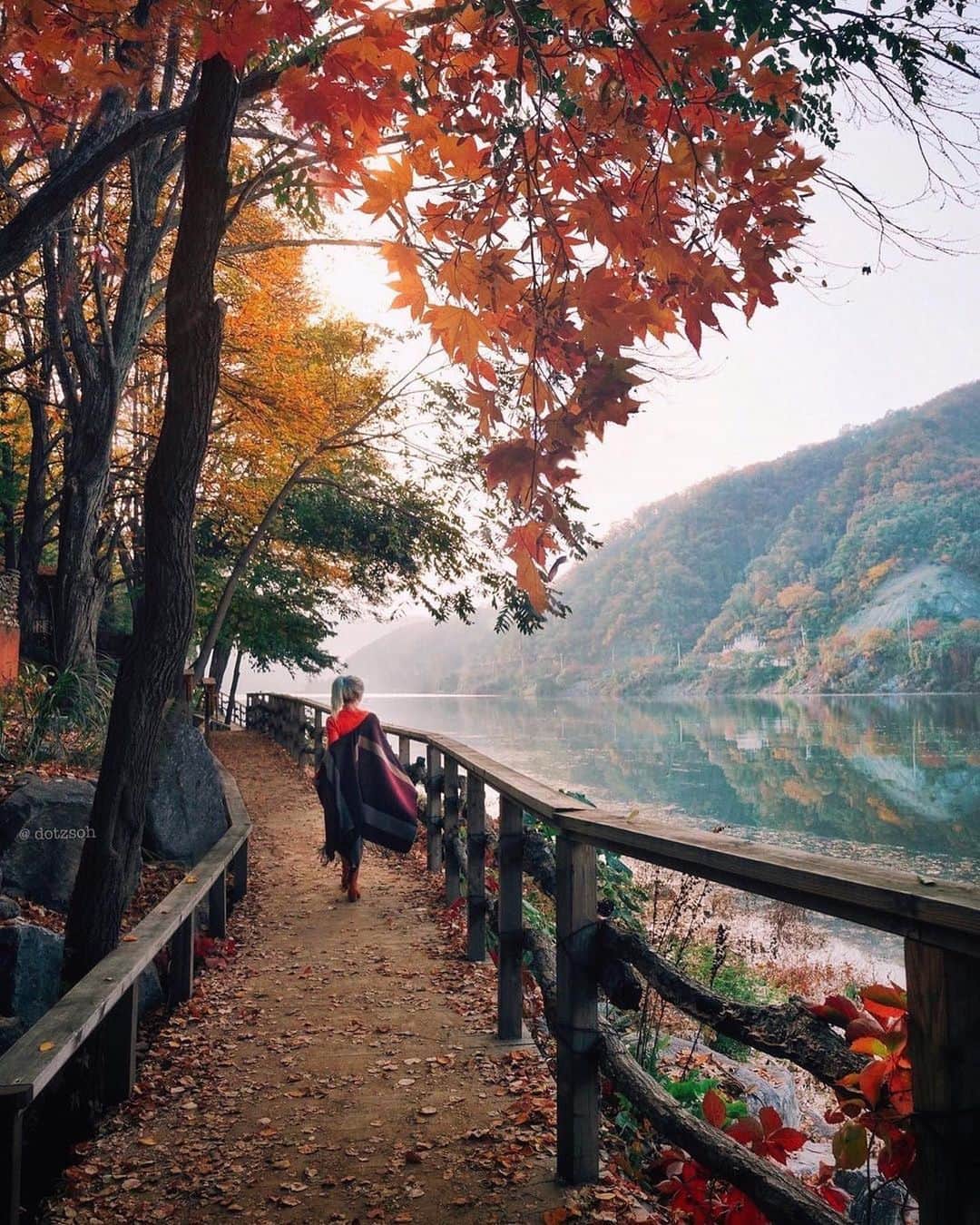 Wonderful Placesさんのインスタグラム写真 - (Wonderful PlacesInstagram)「Beautiful fall season in South Korea captured by ✨@dotzsoh✨ Tag who you’d travel with! 😍🍁 . 📍South Korea 🇰🇷 #wonderful_places for a feature ♥️」10月20日 20時45分 - wonderful_places