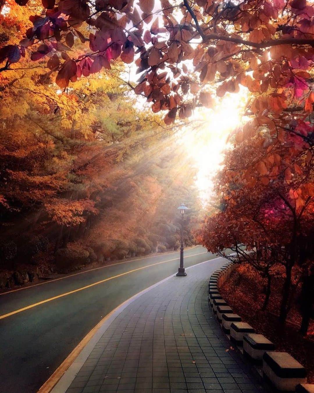 Wonderful Placesさんのインスタグラム写真 - (Wonderful PlacesInstagram)「Beautiful fall season in South Korea captured by ✨@dotzsoh✨ Tag who you’d travel with! 😍🍁 . 📍South Korea 🇰🇷 #wonderful_places for a feature ♥️」10月20日 20時45分 - wonderful_places