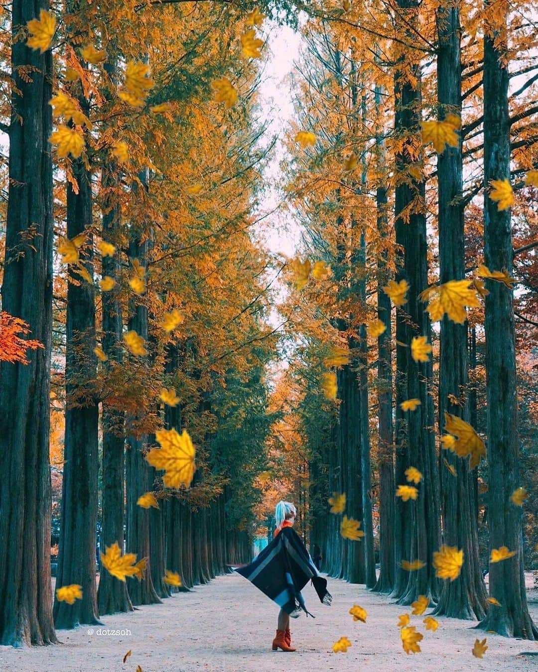 Wonderful Placesさんのインスタグラム写真 - (Wonderful PlacesInstagram)「Beautiful fall season in South Korea captured by ✨@dotzsoh✨ Tag who you’d travel with! 😍🍁 . 📍South Korea 🇰🇷 #wonderful_places for a feature ♥️」10月20日 20時45分 - wonderful_places