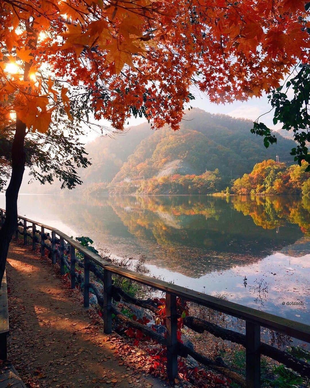 Wonderful Placesさんのインスタグラム写真 - (Wonderful PlacesInstagram)「Beautiful fall season in South Korea captured by ✨@dotzsoh✨ Tag who you’d travel with! 😍🍁 . 📍South Korea 🇰🇷 #wonderful_places for a feature ♥️」10月20日 20時45分 - wonderful_places