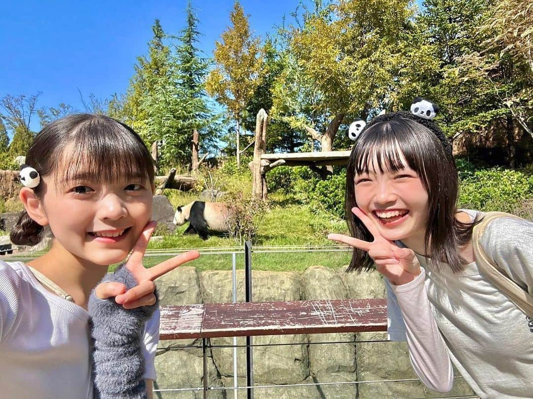 山﨑愛生のインスタグラム：「. #上野動物園に @angerme_official さん #松本わかな ちゃんと行ってきたよ♪♪ 嬉しい☺️楽しかった😁  📷 ♡パンダさん🐼 ♡レッサーパンダさんとわかなちゃん🥰 ♡可愛かった💕  ずーっとここに居たいくらい幸せでした✨✨  @ueno_zoo_official  #パンダさん #パンダさんパワー  #わかなちゃん #わかにゃ  #山﨑愛生 #愛生ちゃん  #モーニング娘 #モーニング娘23  #morningmusume23」