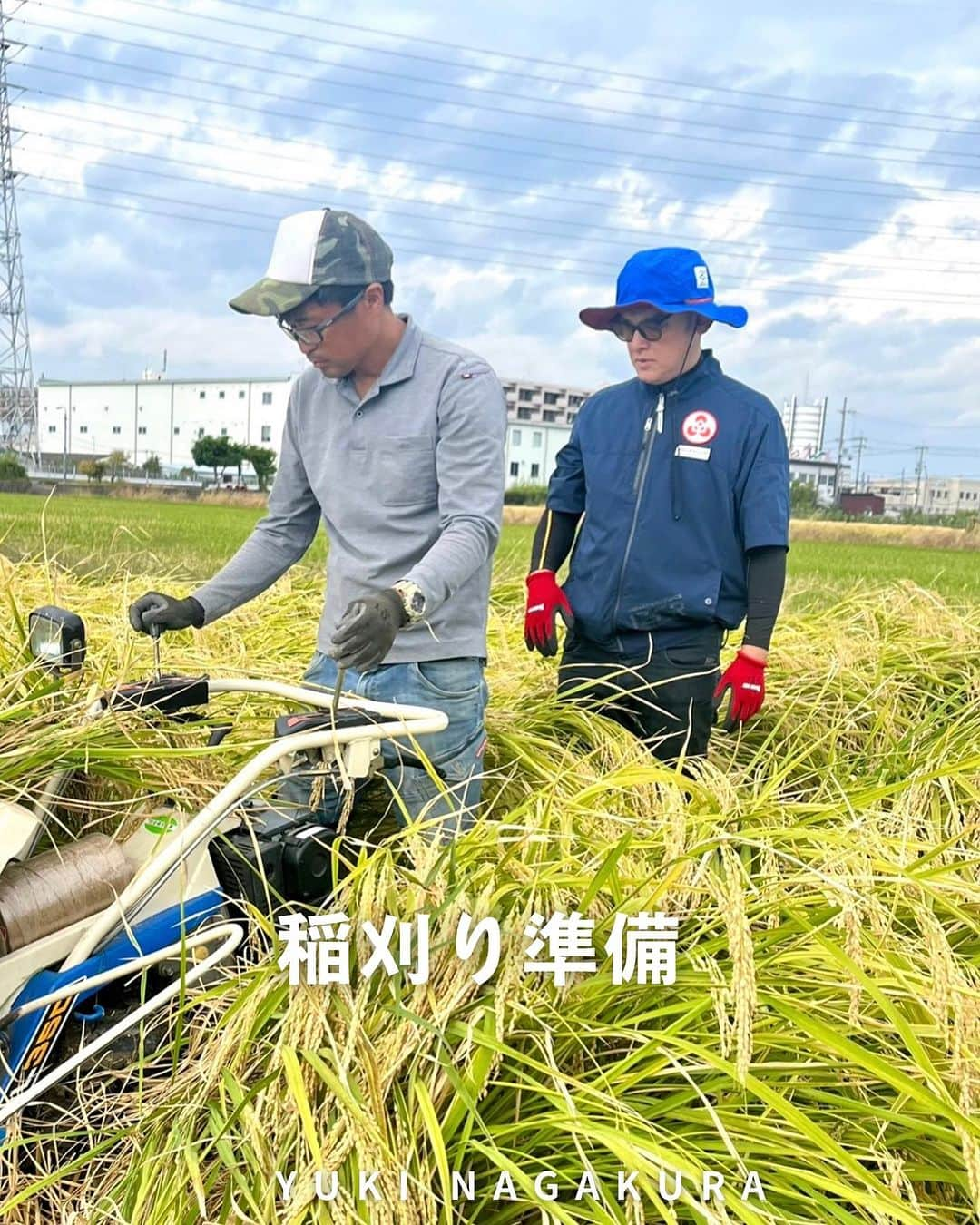 永倉由季のインスタグラム：「. . ⁡ 22日(日)の シャンプーハットてつじさんの田んぼの 稲刈り(手刈り)イベント🌾に向けて ⁡ 準備と 歴神道イベント用の 刈り取り作業をさせてもらいました。 ⁡ ⁡ ________________________ ⁡ ⁡ 農家の西田さんのウンチクは おもしろいわ ⁡ あっちゃんの炊き出しカレーは 安定の美味しさだわ ⁡ いつも ありがとうございます✨ ⁡ ⁡ ⁡ 酒米の雄町(おまち)は 自分の身長(154㎝)を遥かに超え 160㎝以上に伸びてて ⁡ めちゃくちゃ硬かった。 作業が手ごわいぞ😆 ⁡ ⁡#てつじの酒 #米から日本酒をつくりたい  #シャンプーハットてつじ  さん #東大阪 #農業体験  #稲刈りシーズン  #農業女子  #農業好きな人と繋がりたい   ▶︎アメブロ更新　↓プロフリンクから　　　　　　　　　　　　　　　@yuki_nagakura67 ⁡ ✼••┈┈┈┈┈┈┈┈┈┈┈┈┈┈┈┈••✼  　　　　　 ▶︎アナウンサー・プライベート用Instagram @yuki_nagakura67 ⁡ ▶︎ブランディング用/魅せ方・伝え方・オススメ @yuki_nagakura_brushup_salon ⁡ ✼••┈┈┈┈┈┈┈┈┈┈┈┈┈┈┈┈••✼ ⁡ ⁡ #永倉由季 #フリーアナウンサー #司会者 #顔タイプ診断 #顔タイプアドバイザー #アナウンサー ___________________________」