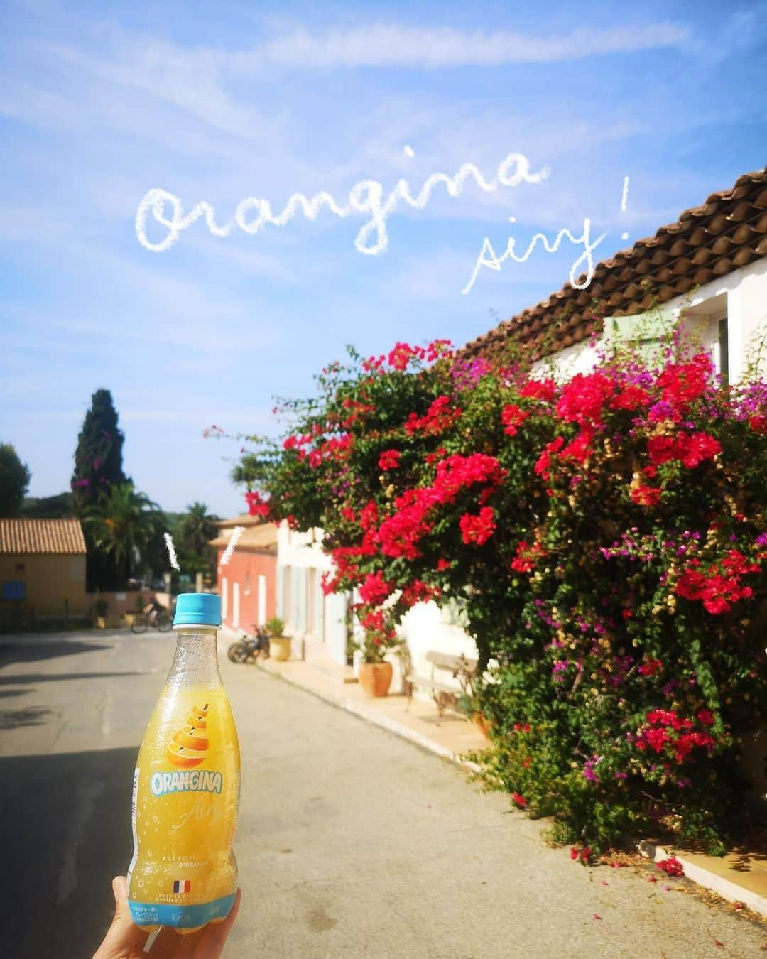 Orangina オランジーナ公式のインスタグラム：「Bonjour🇫🇷  今回は パリからのショートトリップにおすすめ 南仏のコートダジュール発祥の地と言われる イエール諸島からお届けします😊  パリから飛行機に乗って約1時間30分✈️ ニースとマルセイユの中間にあるイエールに到着 さらにフェリーで約20分🛳️  ポルクロール島にやってきました👍  温暖な気候で、ぶどう畑や🍇 ターコイズブルーの海岸があったりと自然豊か🌳 10月でもビーチには水着姿の人も🏖️  ブーゲンビリアやミモザなど 色鮮やかな南仏の花が街並みを飾ります🌺  自然保護のため車やバスが禁止されているので サイクリングでの散策がおすすめです🚲  目の前に広がる南仏の景色にも ORANGINA Airyがぴったり合います🍊  #orangina #oranginaairy #france #soda #オランジーナ #フランス生まれ #炭酸飲料 #フランス #オレンジ #休憩 #withオランジーナ #南仏 #hyeres #自然保護 #iledeporquerolles #サイクリング #ブーゲンビリア #ぶどう畑 #ビーチ #cotedazur」