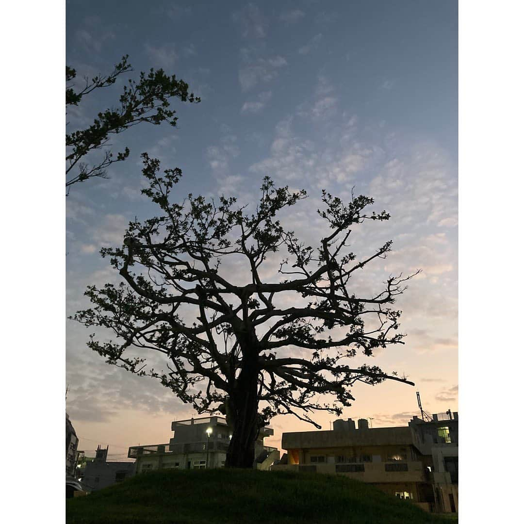 石橋静河さんのインスタグラム写真 - (石橋静河Instagram)「🌿  天高く馬肥ゆる秋  時間をかけること を、恐れないこと」10月20日 21時39分 - shizuka_isbs