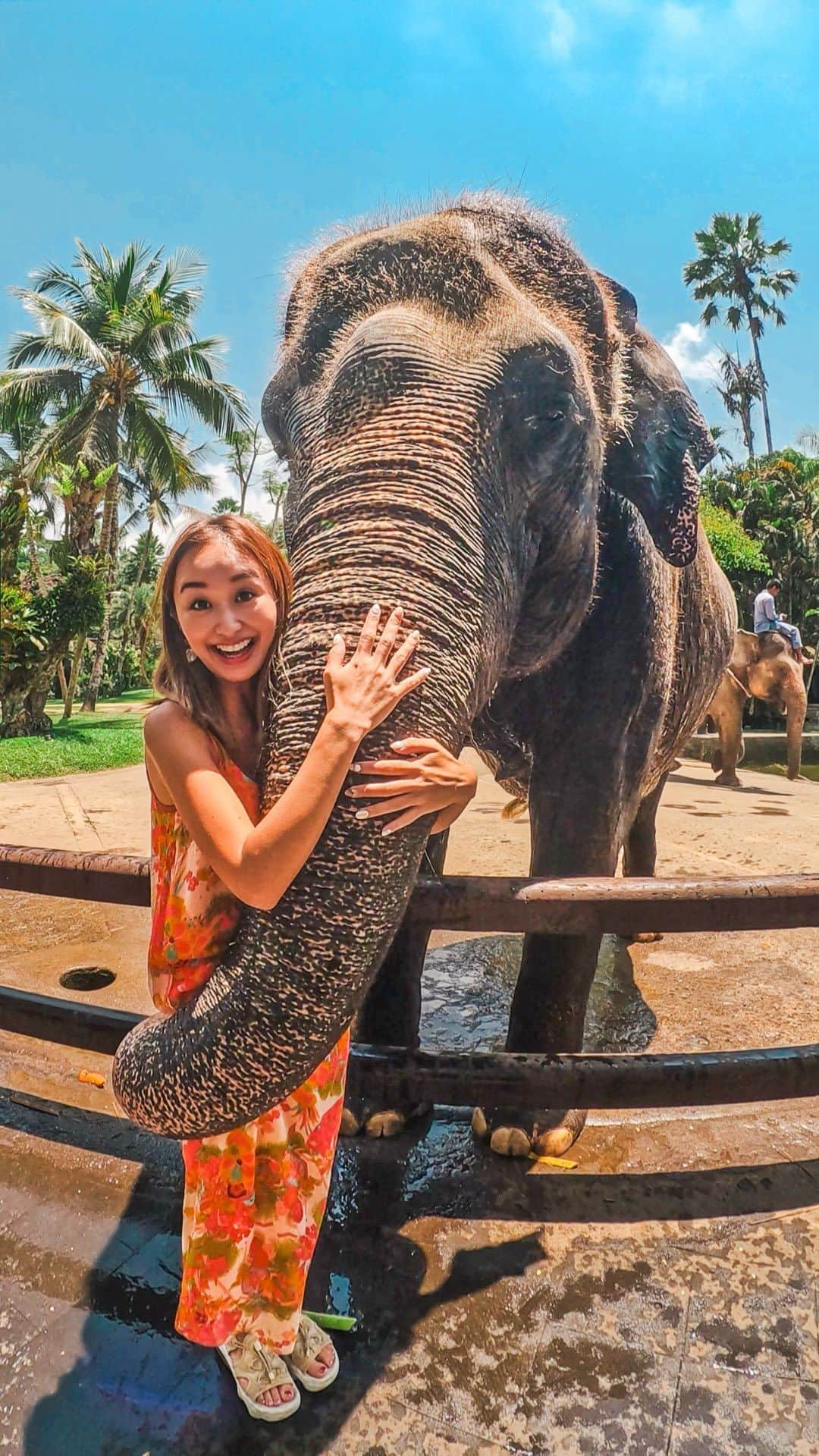 近藤あやのインスタグラム：「バリ島に来ています🇮🇩🐘✨  今日は、人気観光スポット ウブドにきたよーーー😆🌴✌️  行きたいところをわーっと巡れるように @kkday のツアーできました🚗🥰 ねえ、象さんかわいすぎないい？！？！😮‍💨💖  移動中も、ガイドさんがたくさんバリ島のこと 教えてくれたよーっ！！この時間が好き❤️  時間ないけど観光地色々行きたい！ って人には本当におすすめ🐘🩷💙 他にも色々ツアーあるから見てみてねん！  #バリ島 #バリ島旅行 #インドネシア #bali #balitravel  #ウブド #ubud #ubudindonesia #海外旅行 #kkday旅 #ケーケーデイ #mybus #マイバス #jtbindonesia #jtbbali #balioptionaltour #jtbバリ」