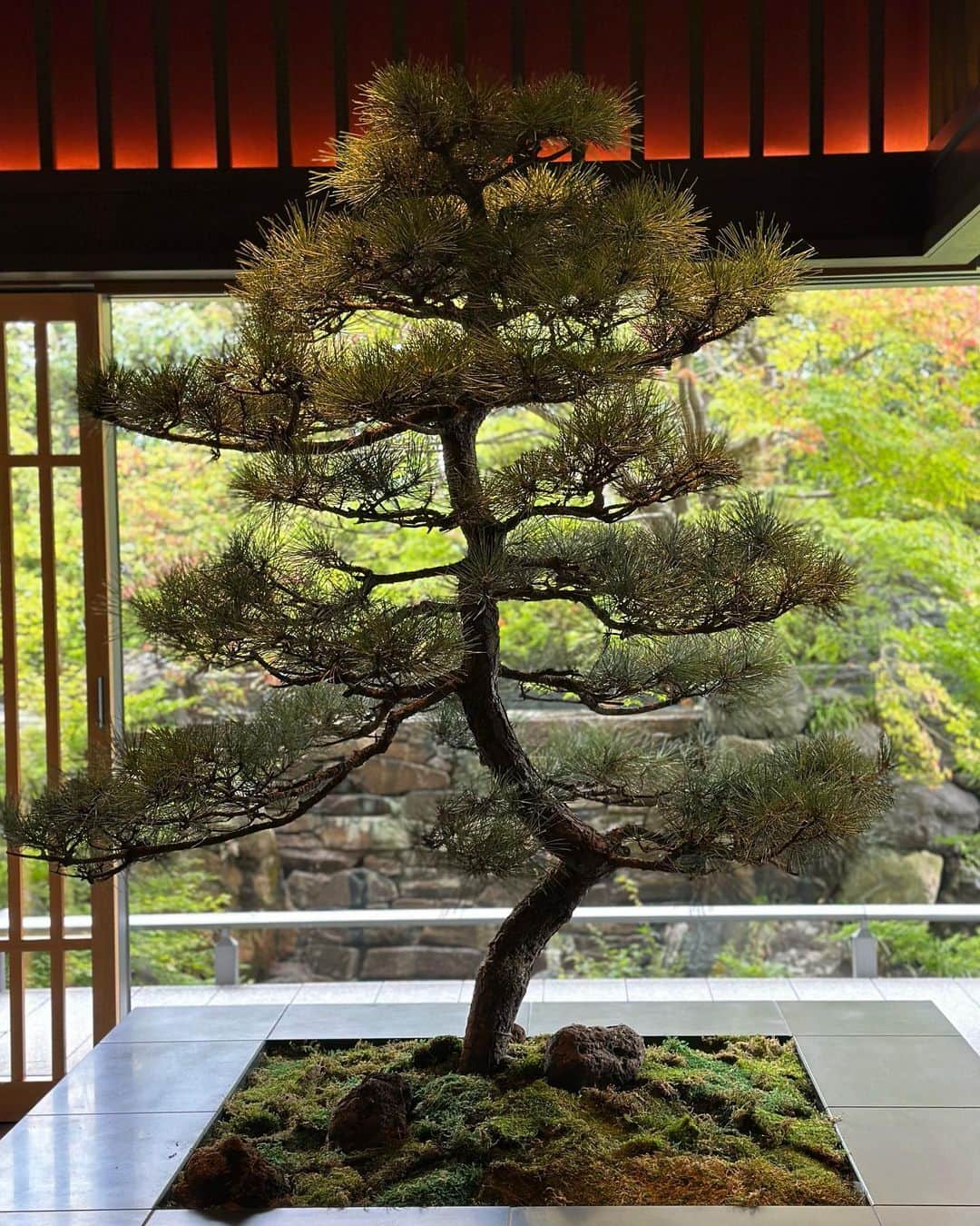 迫田里奈（りなぽよ）さんのインスタグラム写真 - (迫田里奈（りなぽよ）Instagram)「Kyoto🍁  母と2人旅行😚  着物を買いに行き 祇園で飲んで 日本料理を食べ 幼馴染にも会え  やはり、京都だいすきだ。❤️  #kyoto」10月21日 0時17分 - rinapoyo.1129