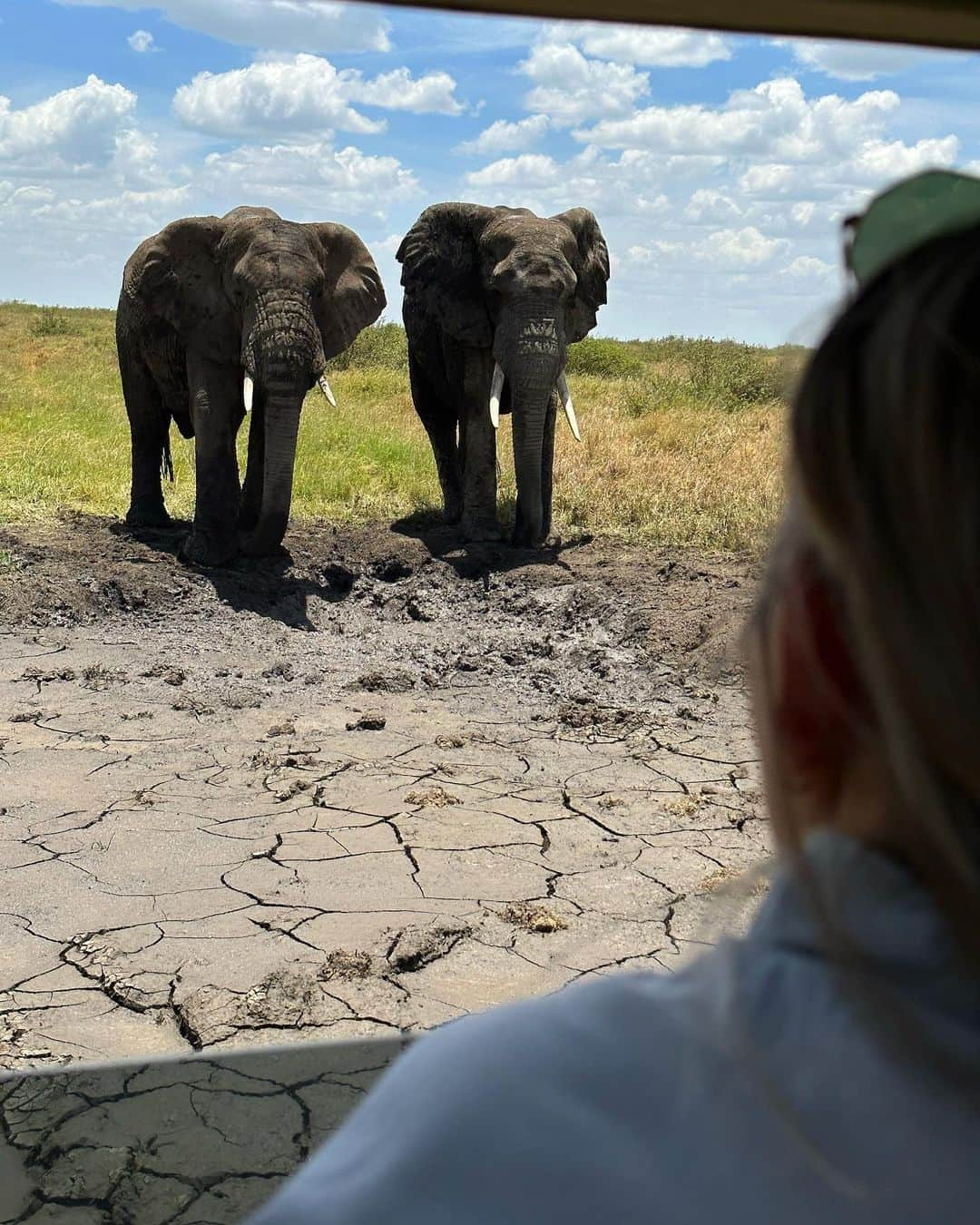 Jessica sayonara maierさんのインスタグラム写真 - (Jessica sayonara maierInstagram)「jessi no serengeti 🧡」10月21日 0時31分 - sayonaramaier