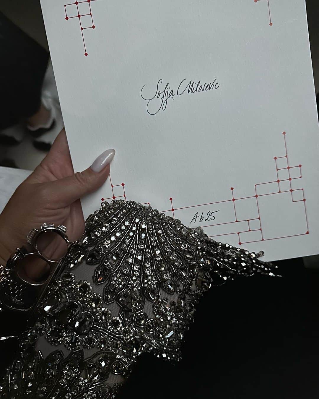 ソフィア・ミロシェヴィッチさんのインスタグラム写真 - (ソフィア・ミロシェヴィッチInstagram)「paris fashion week unposted  @alexandermcqueen」10月21日 1時12分 - sofijamilo