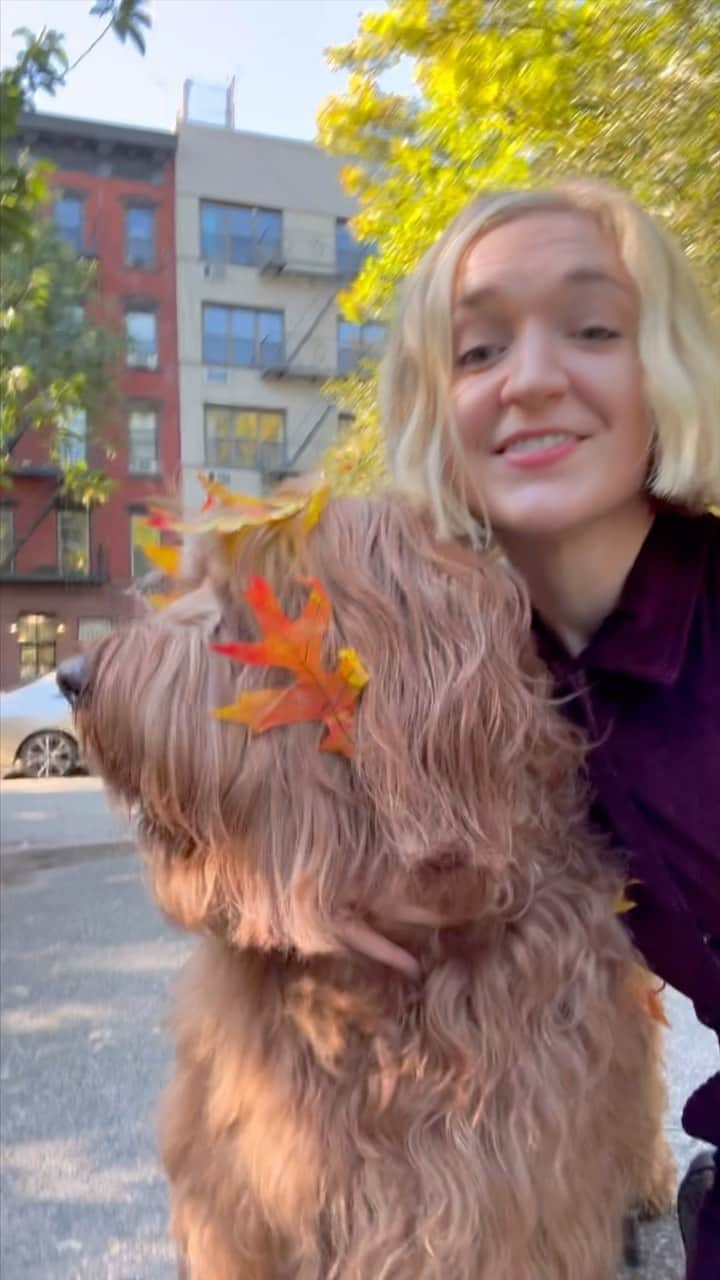 DogsOf Instagramのインスタグラム：「Join us tomorrow for #BTS of the world’s biggest dog parade (aka THE MET GALA OF DOG EVENTS) with the author of Adventure Dogs and judge of the parade, @fernwattauthor! The 33rd Annual Tompkins Square Halloween Dog Parade is this Saturday (TOMORROW) 10/21 👻  To walk in the parade in your costume, arrive no later than 12pm at 13th street and avenue B in the East Village! The parade starts at 1pm and consists of an actual parade down Avenue B and an exclusive competition in the park! Thanks @tspdogrun and @getjoyfood for saving the parade and making this possible!!  The Tompkins Square Halloween Dog Parade is not just about costumes and creativity; it’s about coming together as a community to celebrate the joy, positivity, spirit of the city and the unique bond between humans and their four-legged companions. We hope you can join us in sharing this heartwarming and fun event.  We hope to see you there or tuning into our live coverage!   This event is open to all, and attendance is free The first 600 paradegoers will receive wristbands, giving them access to march in the parade and access the park/contest stage and 7th street (first-come, first-serve basis)  During the parade, an esteemed panel of judges will be selecting 40 canines and their humans to advance to an exclusive costume competition on the park stage, ✨IMPORTANT NOTE: Costumes will be judged by creativity, comfort, and mobility for dogs. Event is rain or shine! See y’all tomorrow 🎃  #tompkinssquarehalloweendogparade #tompkinssquarepark #tompkinssquaredogrun #halloweendogparade #halloweendogcostumes」