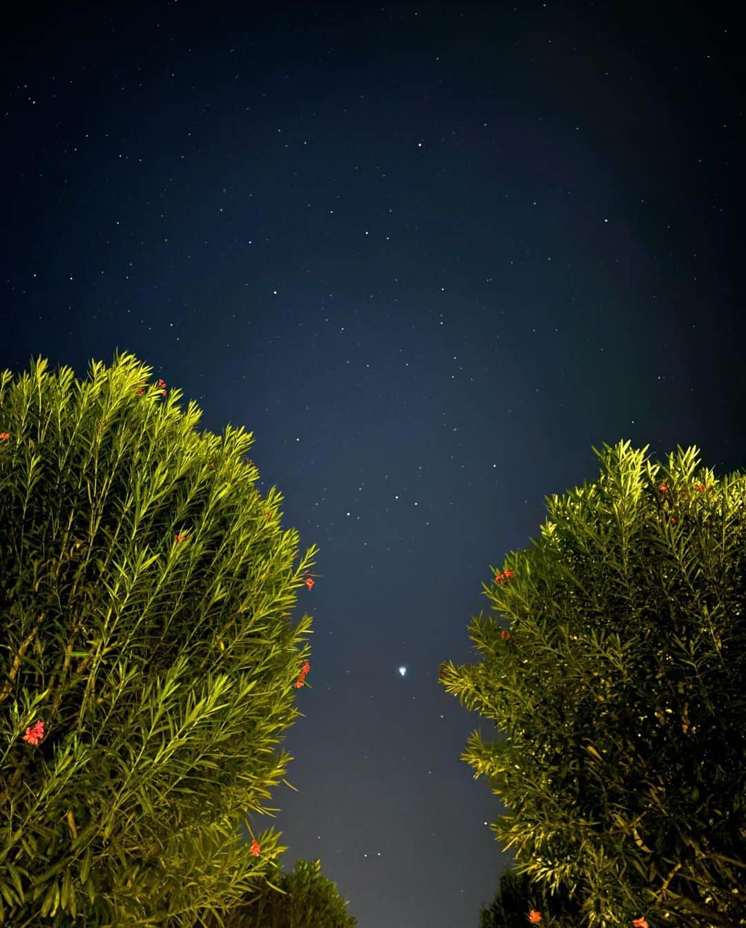 梁夏銀さんのインスタグラム写真 - (梁夏銀Instagram)「마지막 🇹🇷 살면서 이렇게 이쁜 곳을  다시 올수있을까 ? 🥲 . . #5주투어끝 🥺🙌🏻」10月21日 2時20分 - yang_haeun