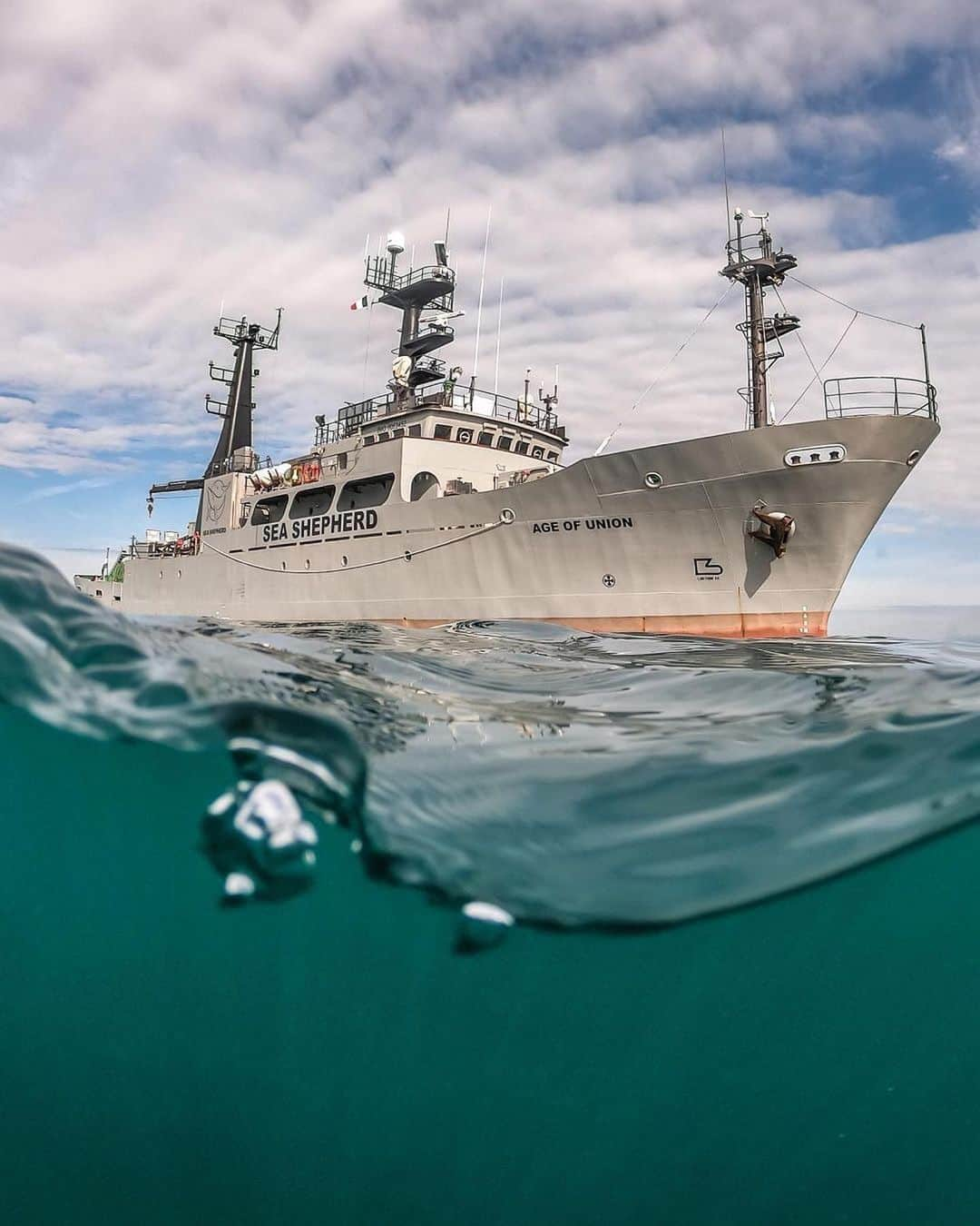 クリス・シャーマさんのインスタグラム写真 - (クリス・シャーマInstagram)「Repost from @tenayaclimbing • CLIMB FOR THE OCEAN  There’s still time to participate!  Tenaya is proud to partner with global NGO @seashepherd for the CLIMB FOR THE OCEAN project to raise awareness about our amazing oceans.  We challenge you to climb a quarter nautical mile (463 meters / 1,500 feet) this month to raise awareness and funds to help protect the oceans.  Participate in the challenge and log your progress through the @vertical.life.climbing app.  You can climb in any style you’d like—indoors, outdoors, sport, multi-pitch, boulders, and of course, deep-water soloing! There are great prizes to be won. Good luck!  Visit the Tenaya blog for details and more ways to help defend our oceans (link in bio).  📷: 1, 5 @giancolafoto, 2-4, 6 @seashepherd  #seashepherd #seashepherdstore #climbfortheocean @tenayaclimbing @seashepherd」10月21日 2時22分 - chris_sharma