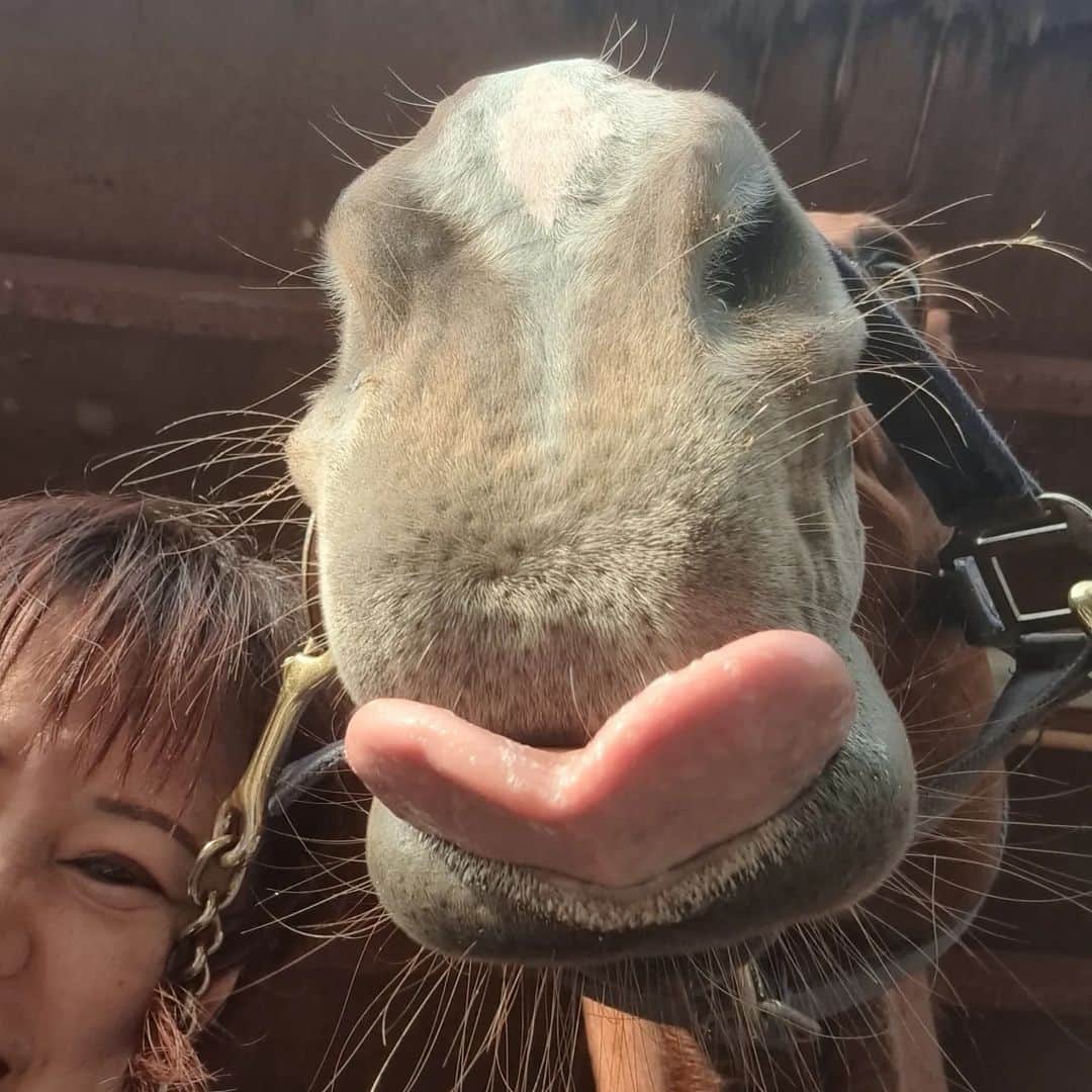 宇月田麻裕のインスタグラム