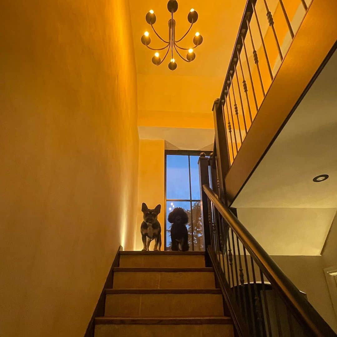 エド・ウェストウィックのインスタグラム：「We’ve been building a house (get ready for the home life dump 🤓)」