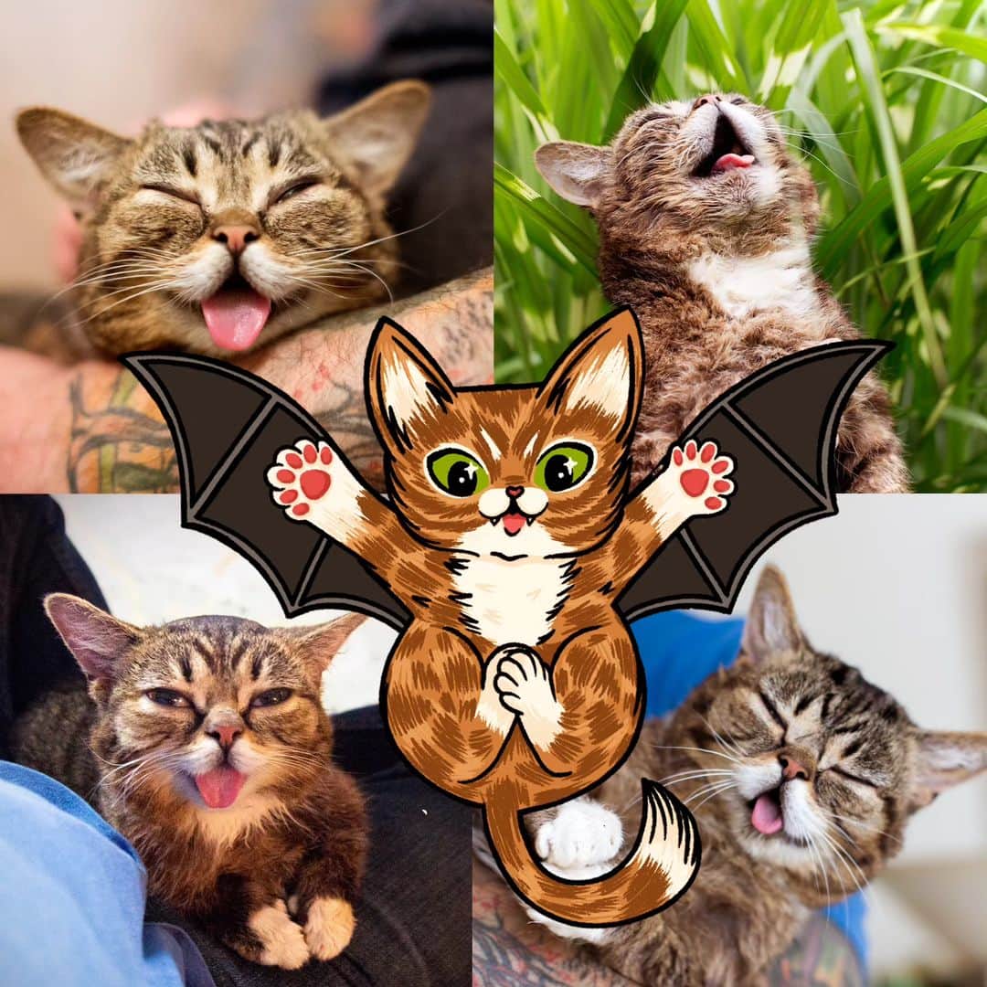 のインスタグラム：「Celebrate this Halloween with Lil BUBat, Mister Mummyrbles, Lil Witch Pillow and Spooky The Cat!   Limited Edition Shirts (adult, kid, toddler, and baby sizes!), Acrylic Pin Sets, and Giant Sticker Sheets available in the BUB + MARBLES STORE at the link in BUB's bio (store.lilbub.com)  A portion of all proceeds benefit Lil BUB's Big FUND for Special Needs Pets」