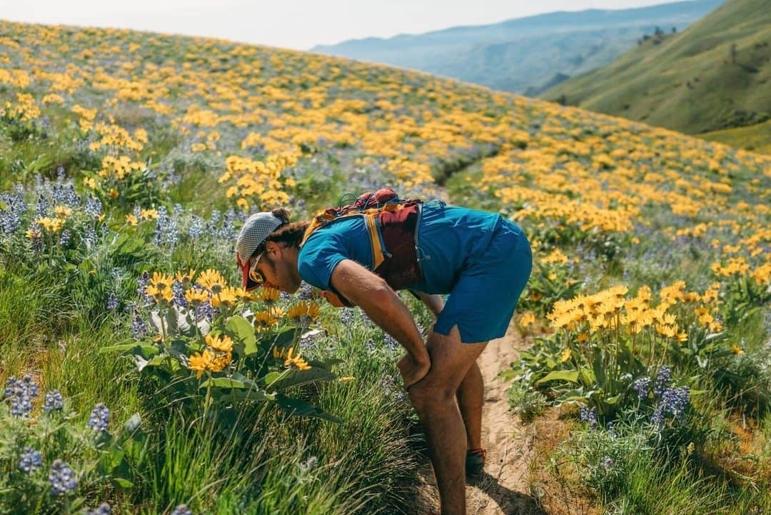 patagoniaのインスタグラム：「Stop and smell the flowers? Or run past?  Photos: Steven Gnam (@steven_gnam)」