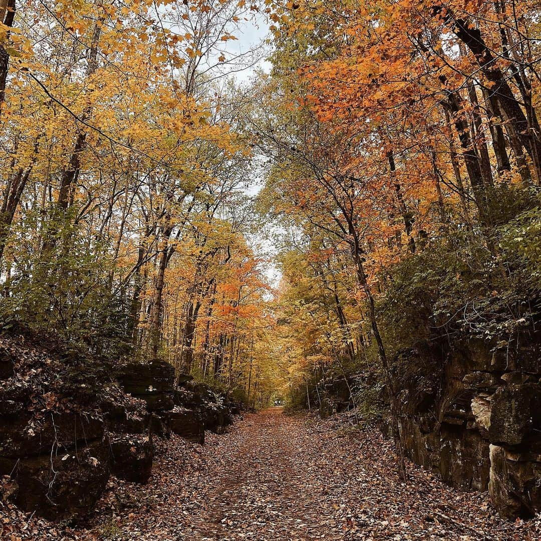 Kate Oliverのインスタグラム：「A few years ago, we were taking a family walk on this trail near our home, in this exact spot, between the limestone rocks, when a tiny man wearing a striped long-sleeve tee and round spectacles sailed past us on his bicycle. As he passed, he half-sang to us, “I call this…Le Petit Canyon” and he said canyon like can-yone.  He pedaled away and we looked at each other and then at the rocks and burst out laughing in the way you do when you know you’ve just had a human connection so true and sweet and real you’ll not soon forget it.   And we haven’t. I think of that man, and that moment, every time I take a walk or run on this trail.   Anyway, here is Le Petit Canyon in autumn, looking especially lovely.」