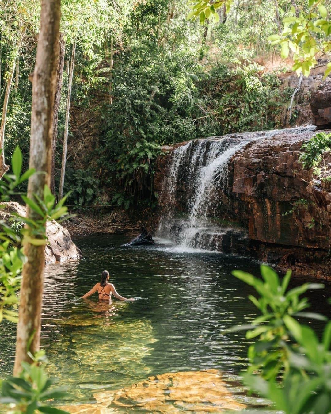 Australiaのインスタグラム：「⚠️ Hidden gem alert! ⚠️ Kudos to @_aswewander for capturing all our rainforest dreams in one gorgeous snap! This tranquil paradise is #CurtainFalls, also known as #LowerCascades, and can be found in @ntaustralia's @litchfieldnationalpark 💚 Just south of Gulumerrdgen (#Darwin) in @tourismtopend, pop on over for a day trip or extend your stay (who could blame you!) and book a room at @hideawaylitchfield or @litchfieldtouristpark for the ultimate getaway! 🌴  #SeeAustralia #ComeAndSayGday #NTAustralia #TourismTopEnd #Litchfield  ID: a woman wades in the water in front of a cascading waterfall. Lush greenery surrounds the waterhole.」