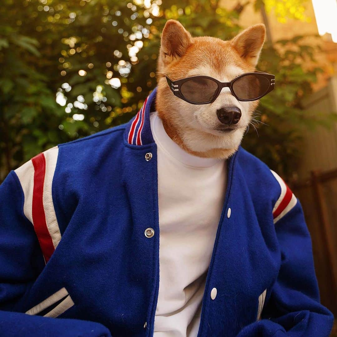 Menswear Dogさんのインスタグラム写真 - (Menswear DogInstagram)「Varsity Academia 🕶️🏈✨」10月21日 4時45分 - mensweardog