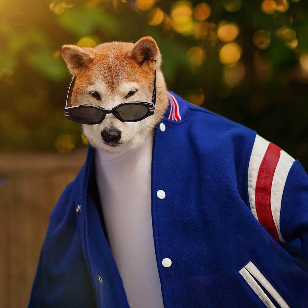 Menswear Dogのインスタグラム