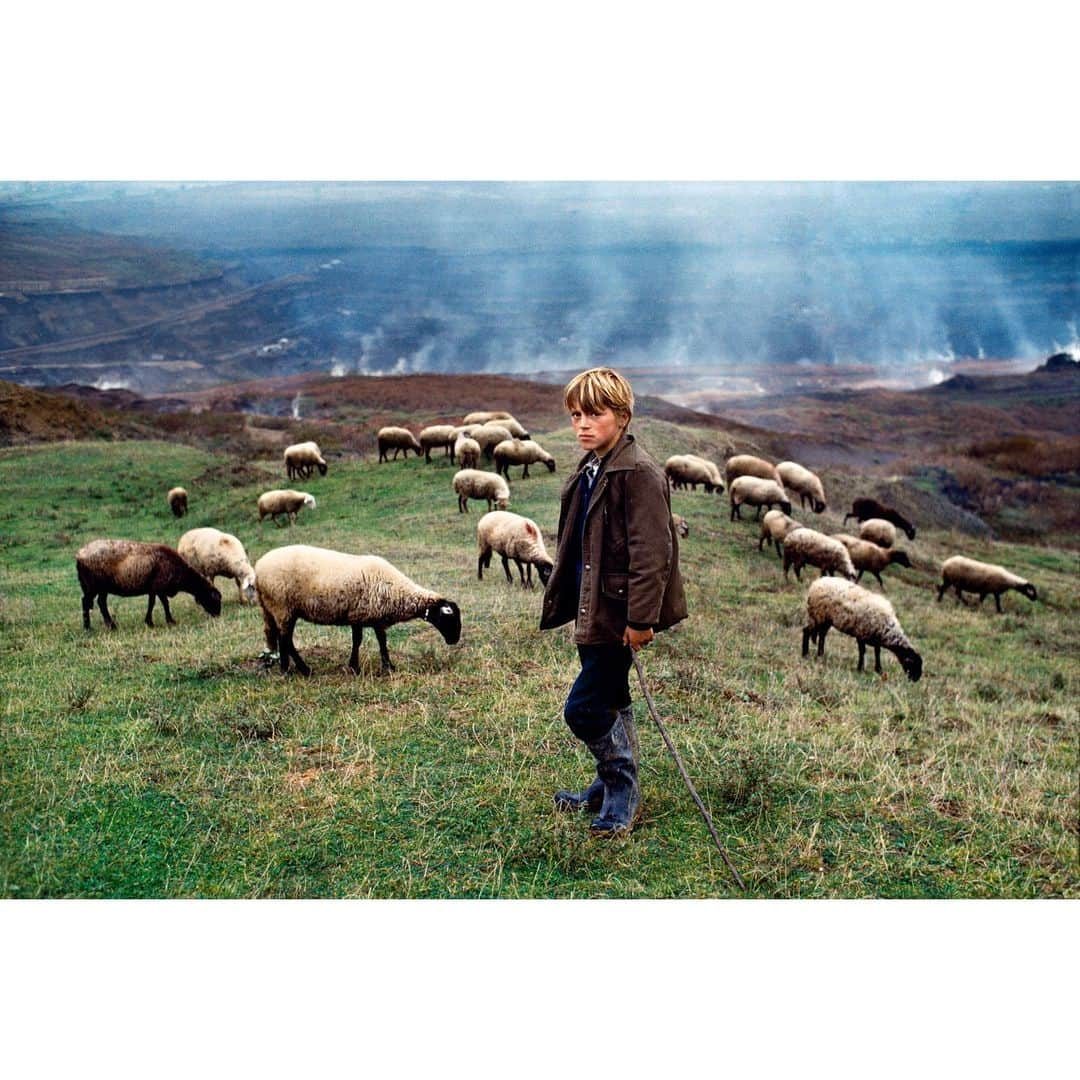 スティーブ・マカリーさんのインスタグラム写真 - (スティーブ・マカリーInstagram)「Young Shepherd and his flock in front of toxic smoldering underground coal seam fires, #Kosovo, Former #Yugoslavia, 1989.」10月21日 5時01分 - stevemccurryofficial