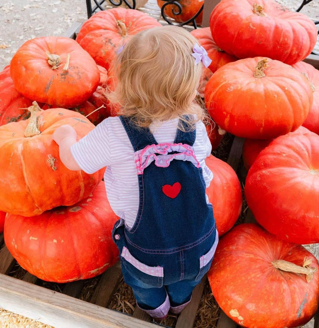 リディア・ハーストのインスタグラム：「Oh my gourd! 🎃」