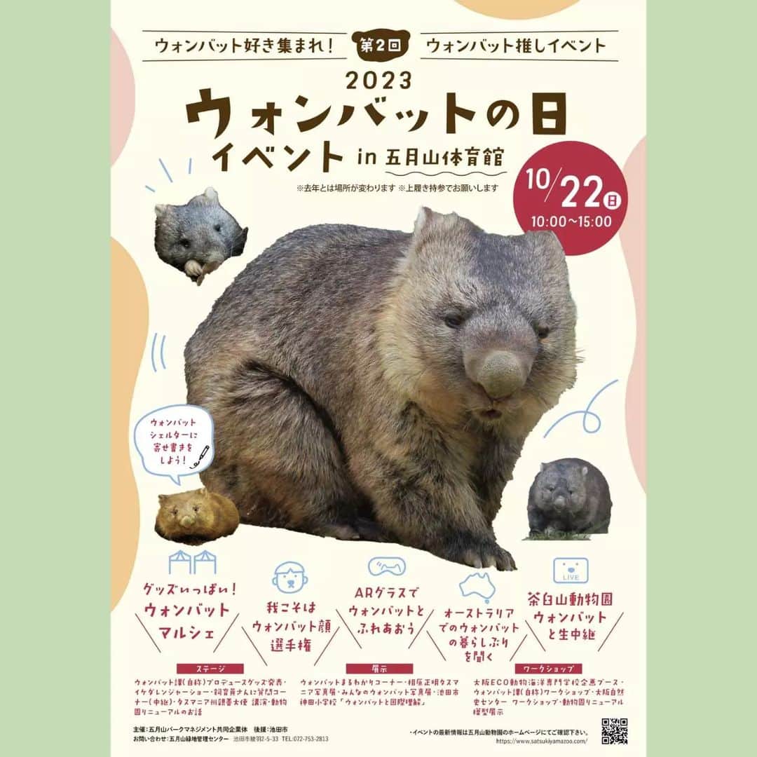 町田星児さんのインスタグラム写真 - (町田星児Instagram)「今年もMCをさせていただきます。場所は去年と違って五月山体育館です。五月山動物園のすぐ近くです。上履き持参でお願いします。 #五月山動物園 #ウォンバット」10月21日 6時46分 - machidaseiji