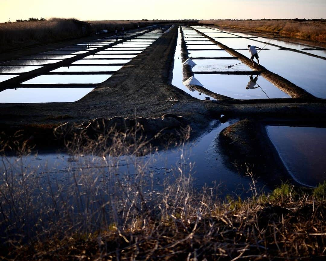 AFP通信のインスタグラム：「Salt harvesting on Ile de Ré⁣ ⁣ In a marsh on the Ile de Re, salt-makers gather the white crystals formed on the clay bottoms into small pyramids. This is the last harvest of a season.⁣ ⁣ 📷 Christophe ARCHAMBAULT #AFP」