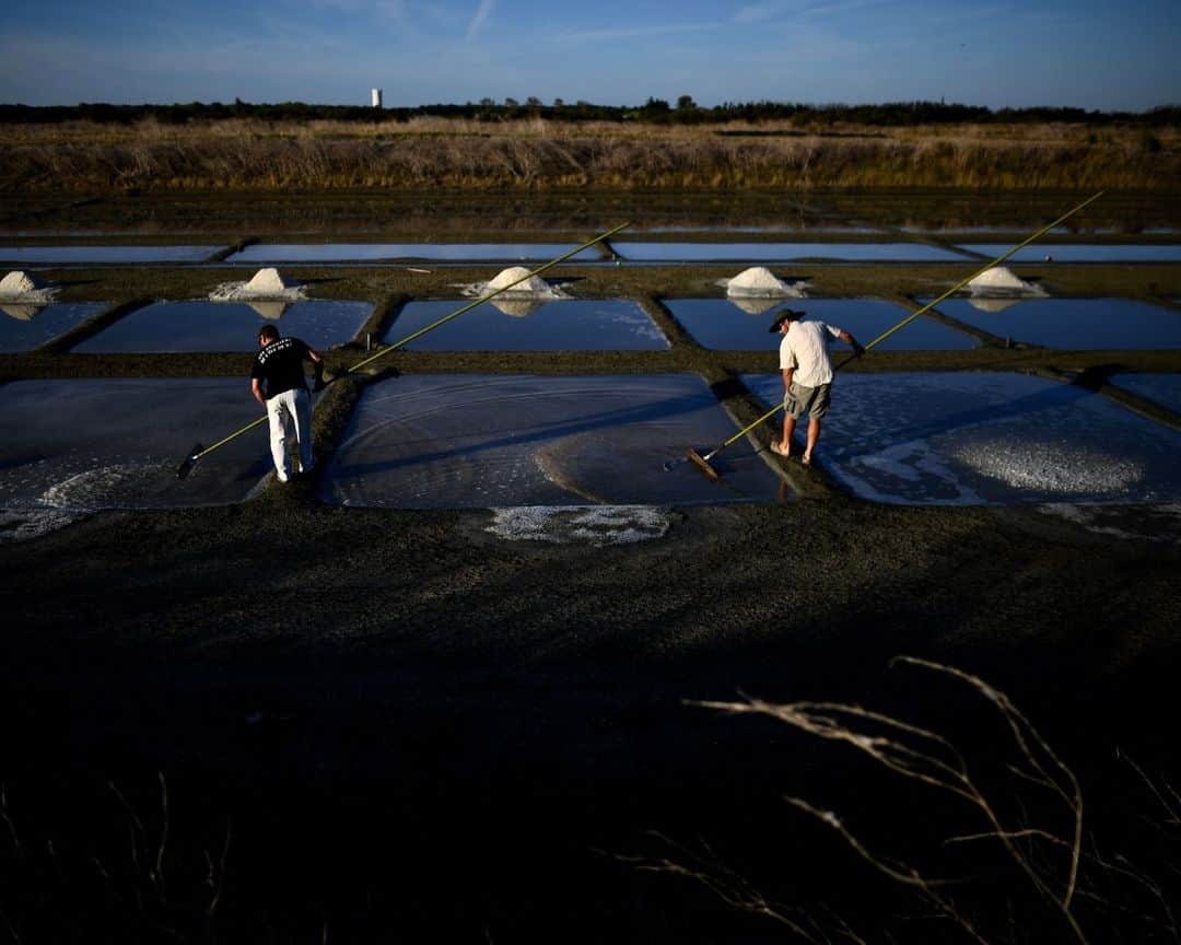 AFP通信さんのインスタグラム写真 - (AFP通信Instagram)「Salt harvesting on Ile de Ré⁣ ⁣ In a marsh on the Ile de Re, salt-makers gather the white crystals formed on the clay bottoms into small pyramids. This is the last harvest of a season.⁣ ⁣ 📷 Christophe ARCHAMBAULT #AFP」10月21日 7時00分 - afpphoto