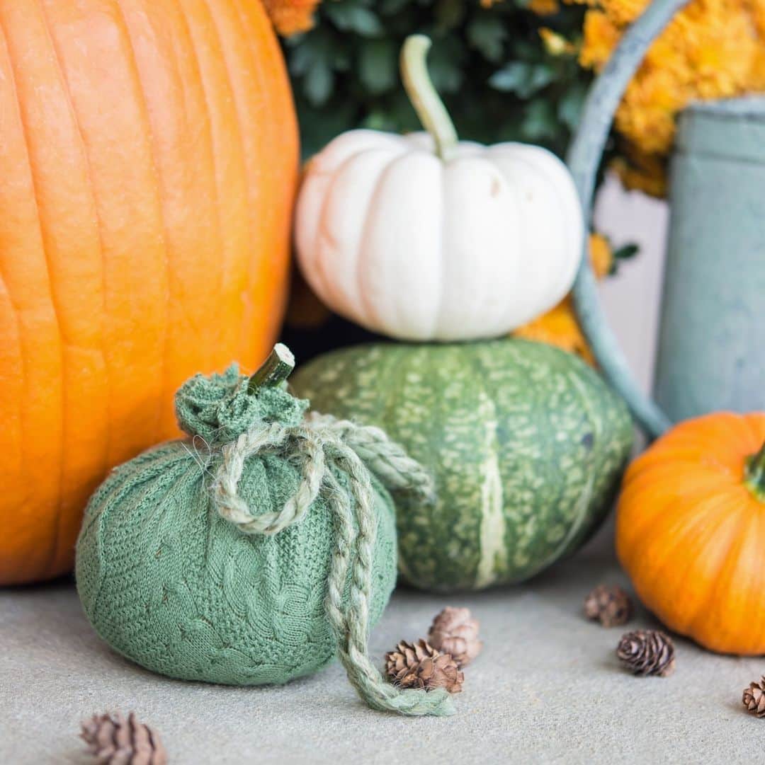HGTVのインスタグラム：「From clever paint jobs to a napkin decoupage trick, we have a pumpkin decorating project for everyone — no carving tools required! ⁠ ⁠ Swipe through ➡️ for a few of our favorites and tell us which you like best! 🎃⁠ ⁠ The, head to the 👉 link in bio for more no-carve pumpkin decorating ideas. #HGTVHowTo⁠ ⁠ 📸: @missmustardseed (Photo 1), @brittneygazawayphotography (Photo 2, 7 + 9), Ruth Meharg (Photo 3), @brucecolephoto (Photo 4), Sarah Busby (Photo 5), Layla Palmer (Photo 6), @dixieandtwine (Photo 8)」